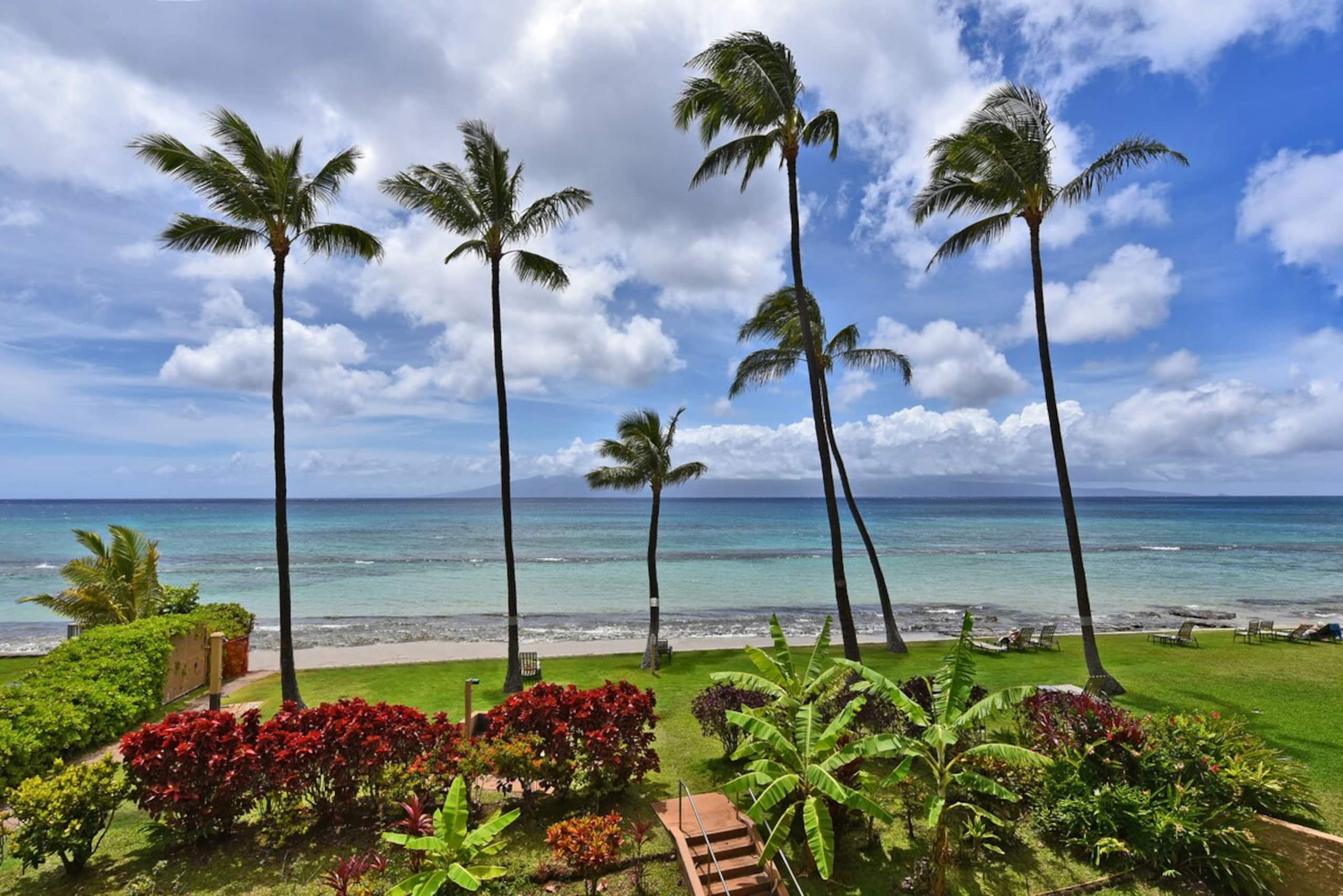 Perfect Romantic Getaway - Right on the Ocean - Photo 23