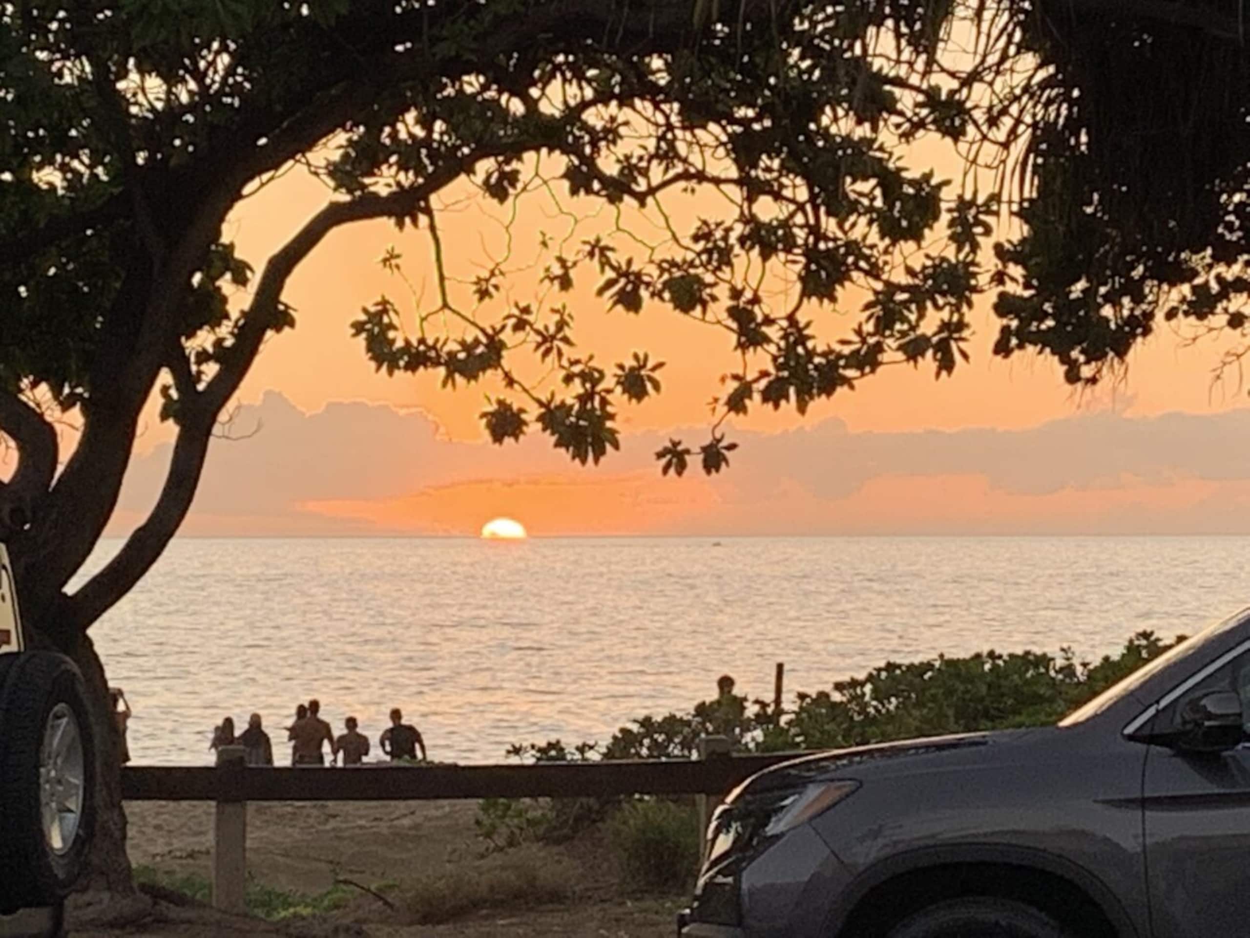 Maui Banyan Closest to the Beach! A201 Kihei - Photo 56