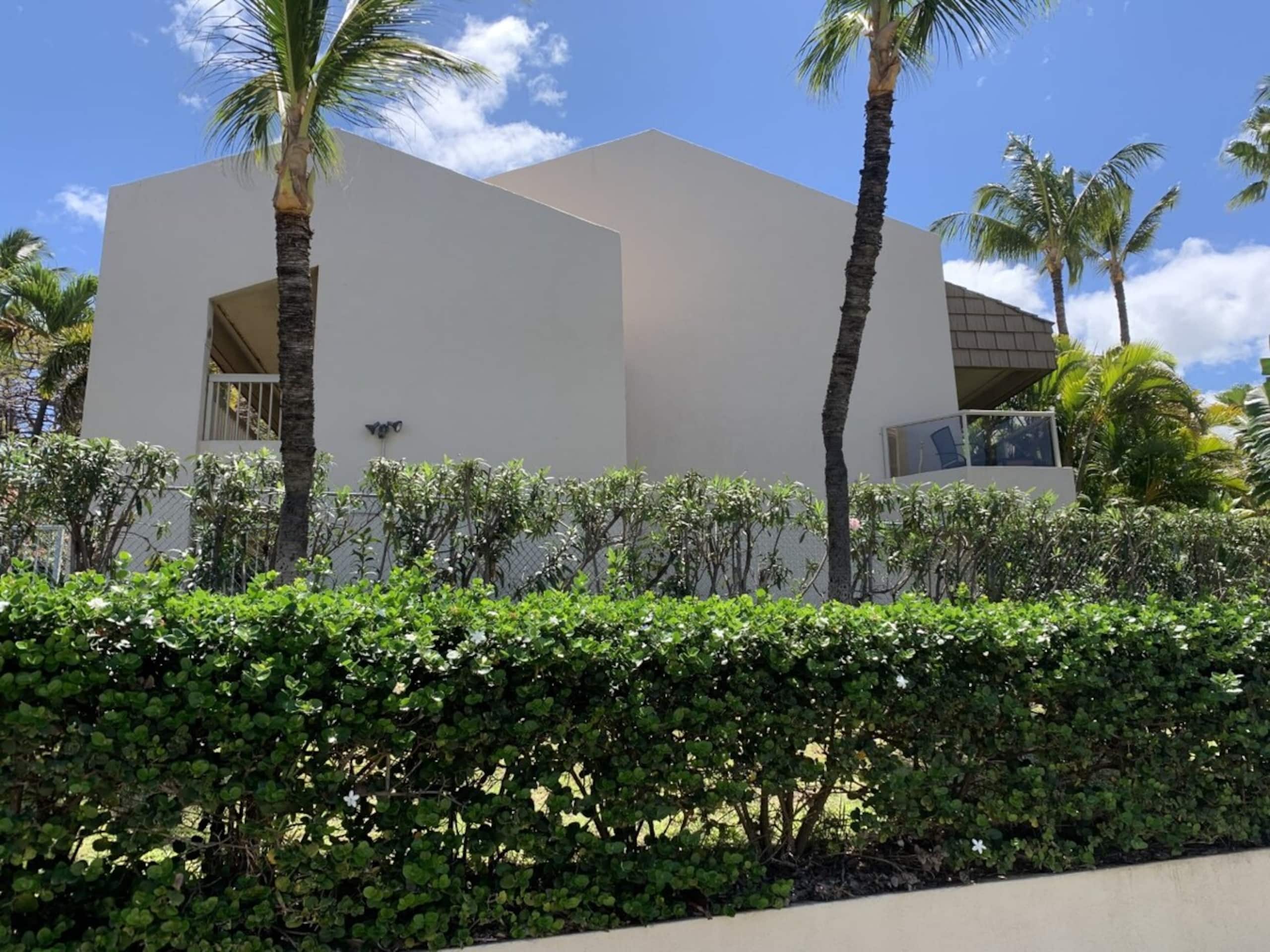 Maui Banyan Closest to the Beach! A201 Kihei - Photo 5