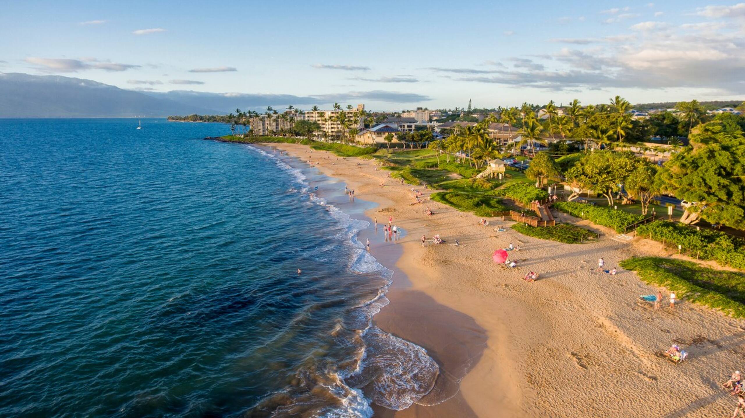 Spacious Open Floor Plan, Heart of Kihei,HSHA408 - Photo 44