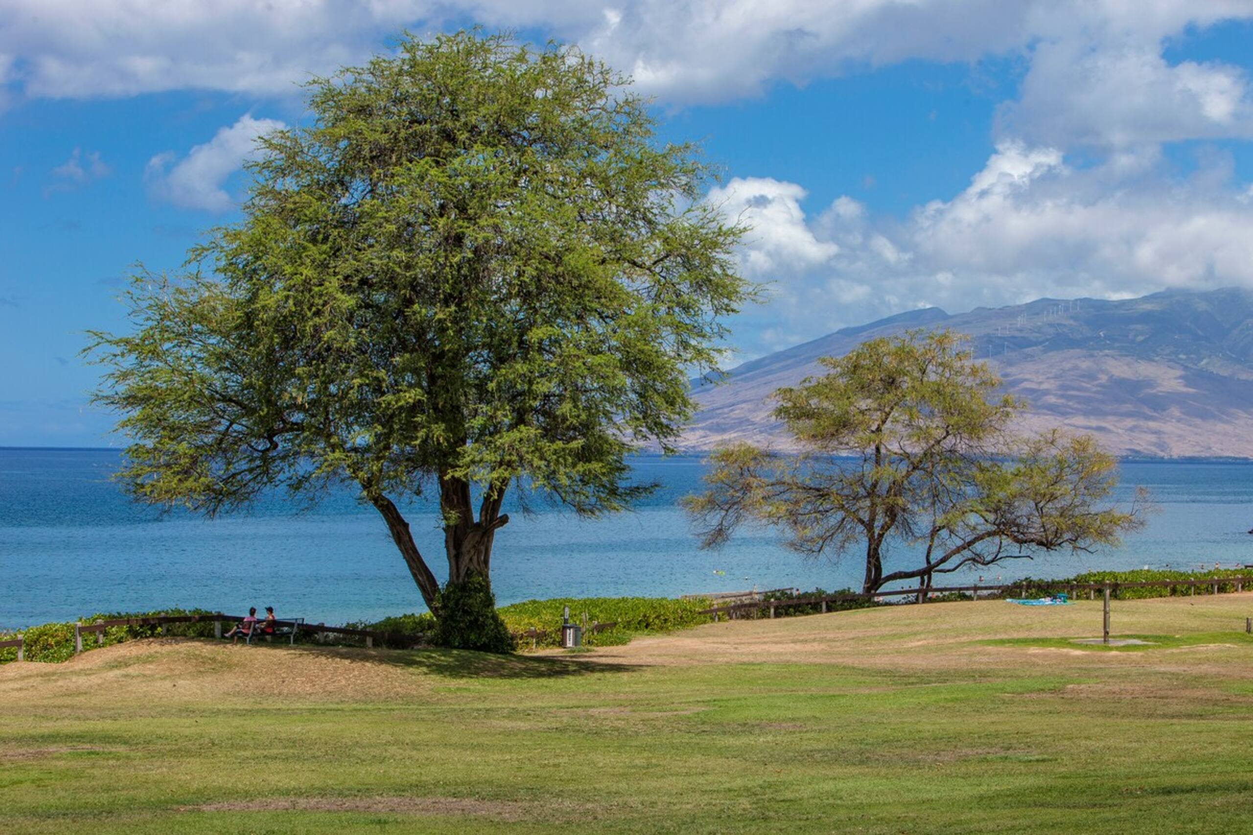 Spacious Open Floor Plan, Heart of Kihei,HSHA408 - Photo 41