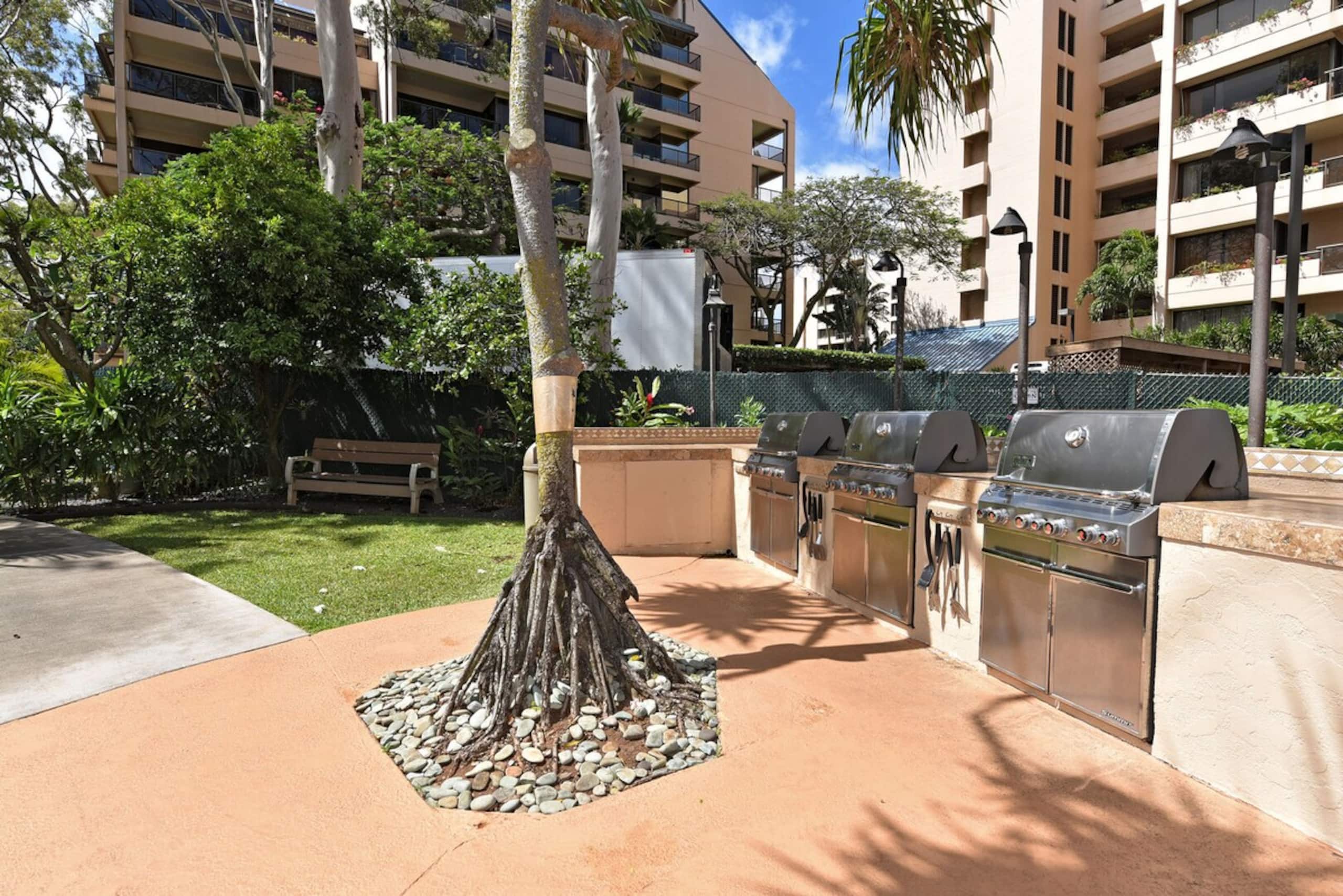 Remodeled 1bd, stunning sunsets & views - Photo 25