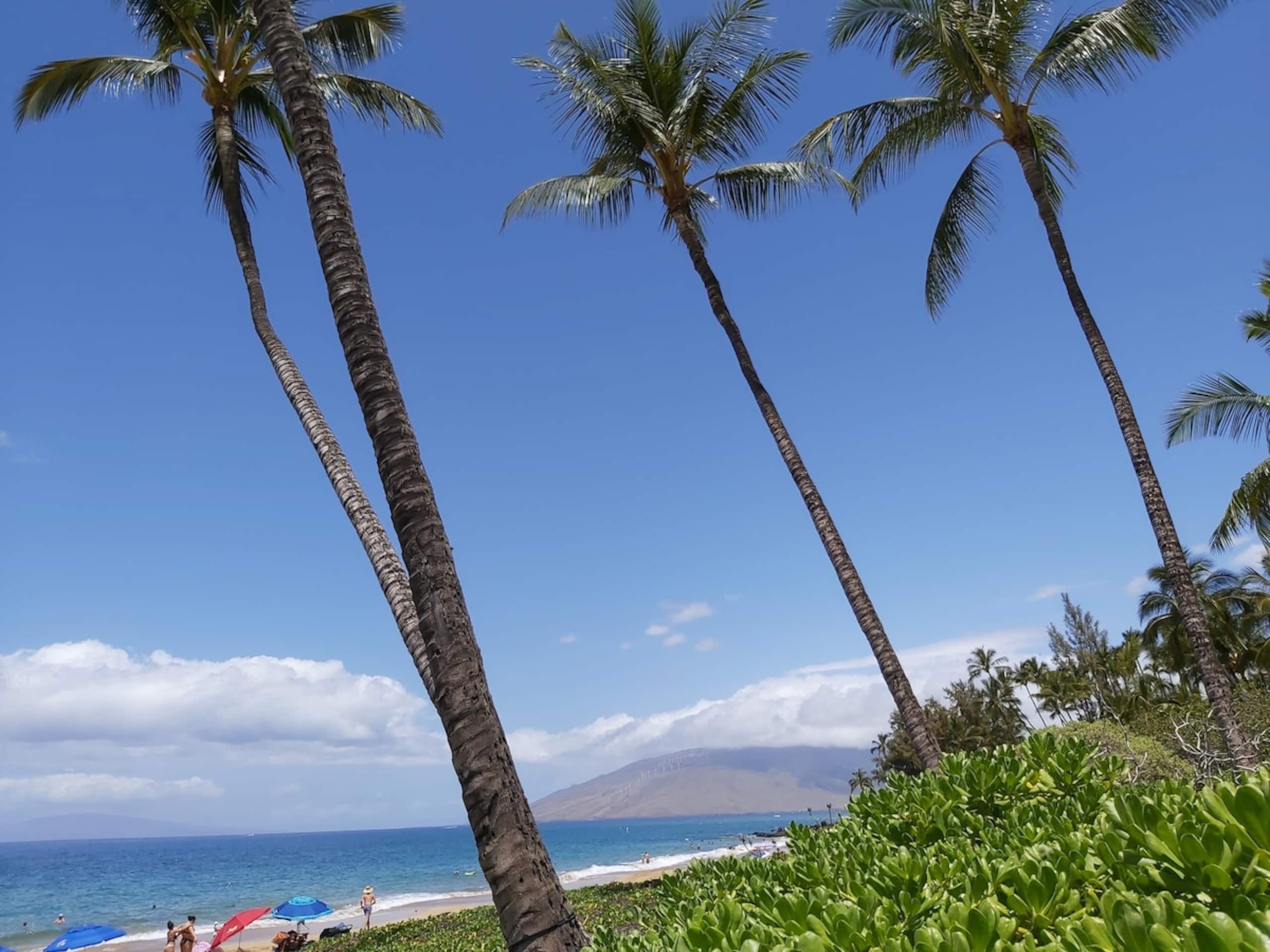 Wailea/Kihei 2Bed 2bath, Beach Shops steps away - Photo 26