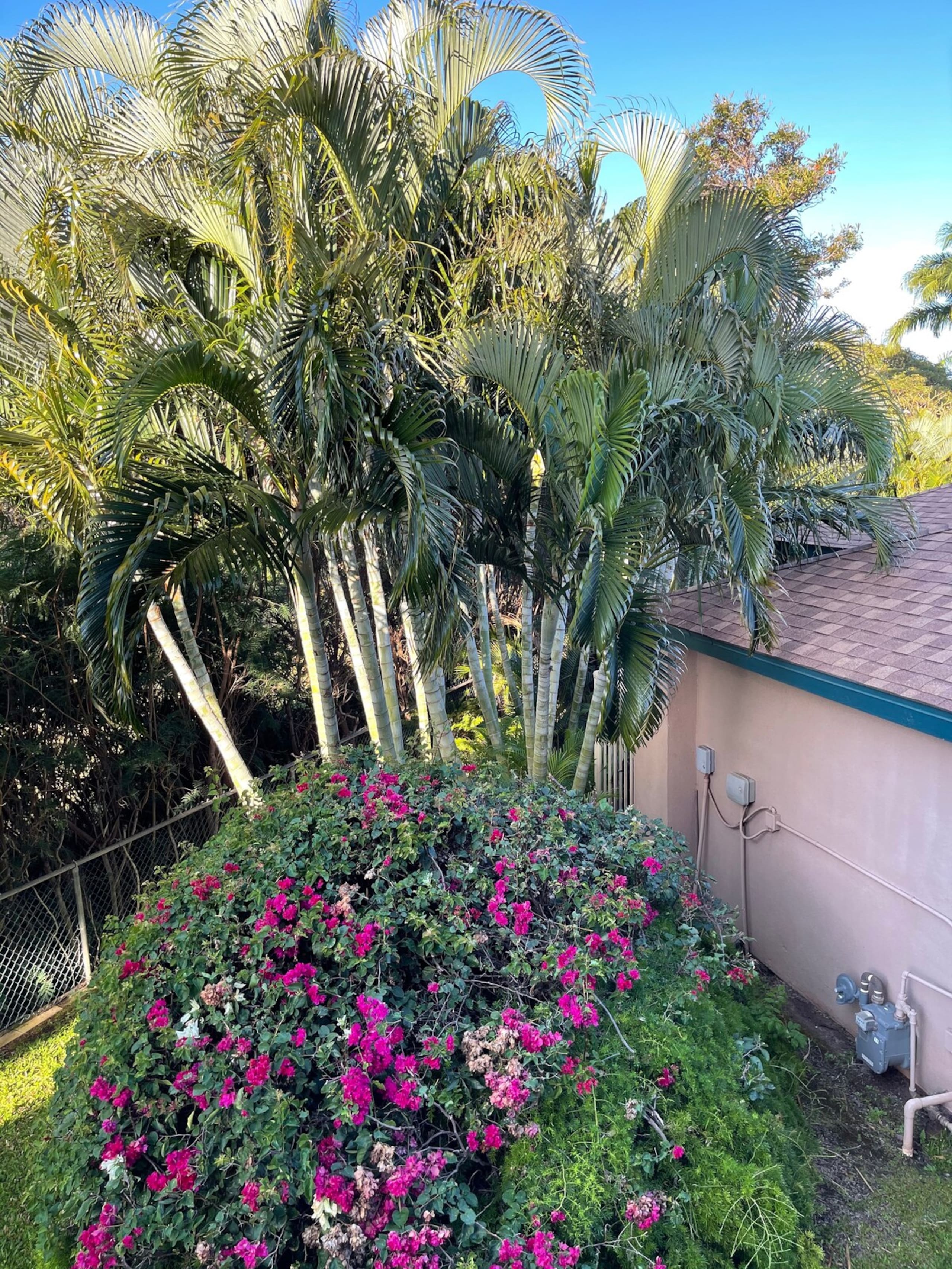 Wailea/Kihei 2Bed 2bath, Beach Shops steps away - Photo 21