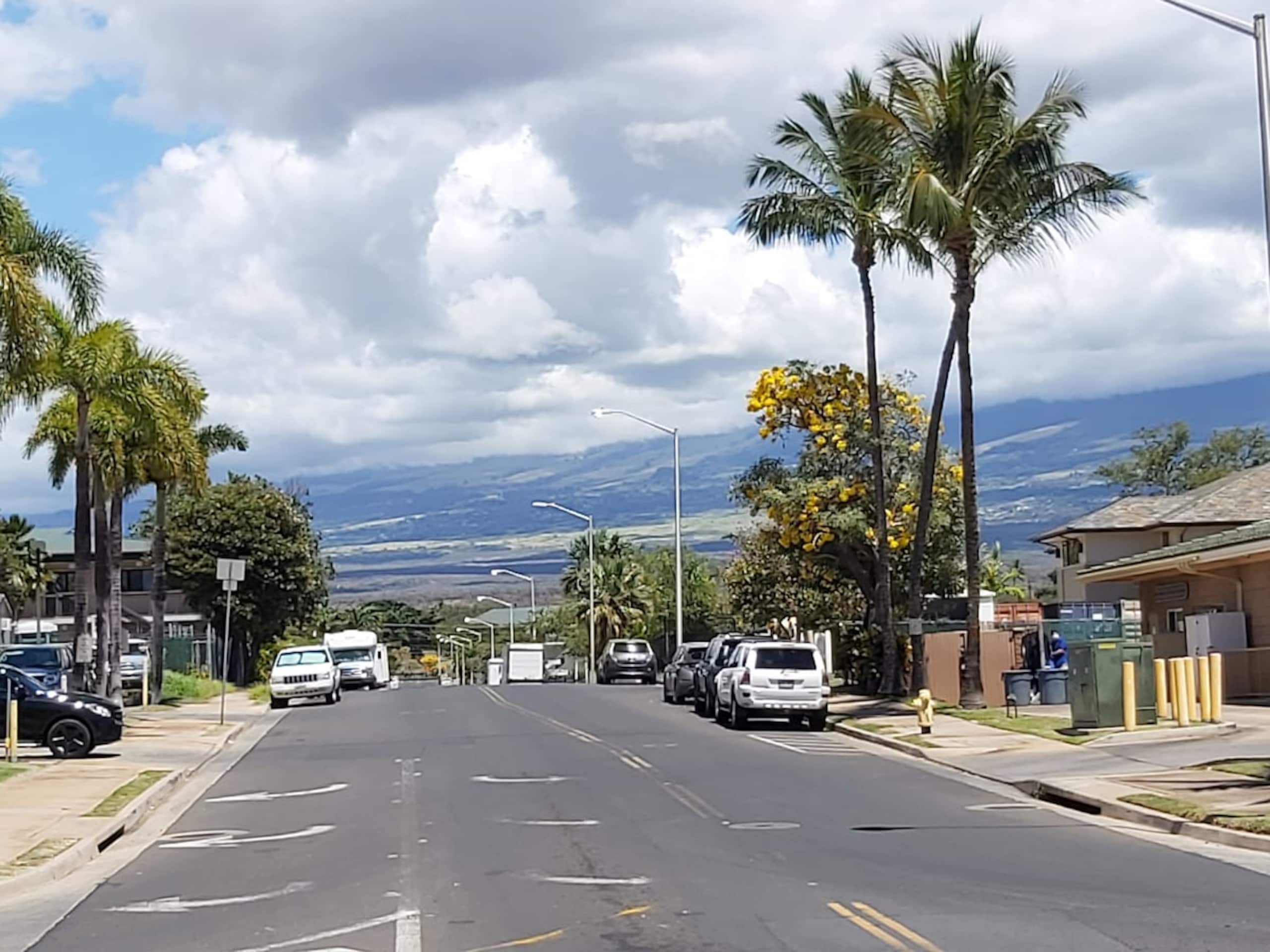 Wailea/Kihei 2Bed 2bath, Beach Shops steps away - Photo 34