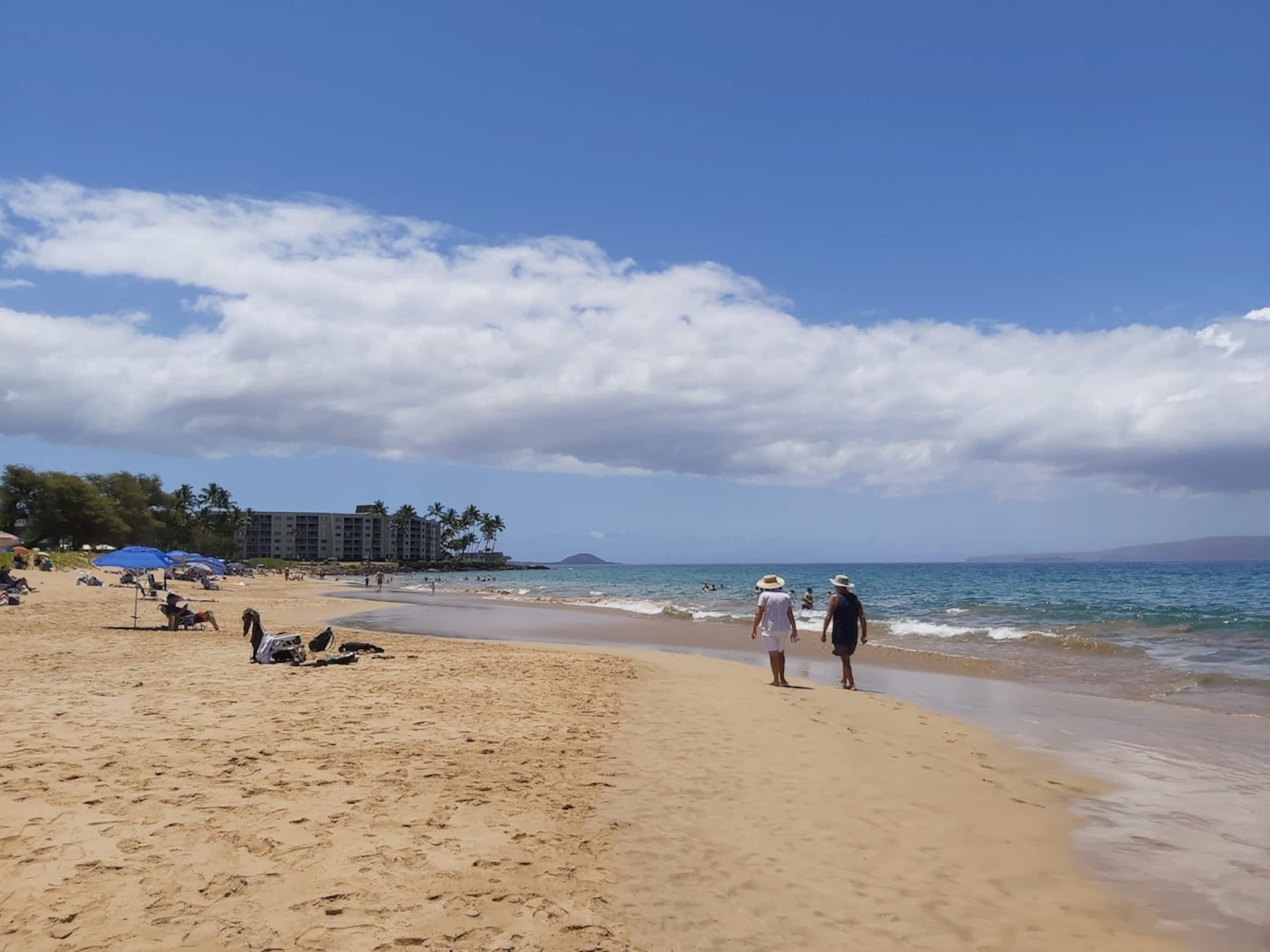 Wailea/Kihei 2Bed 2bath, Beach Shops steps away - Photo 33
