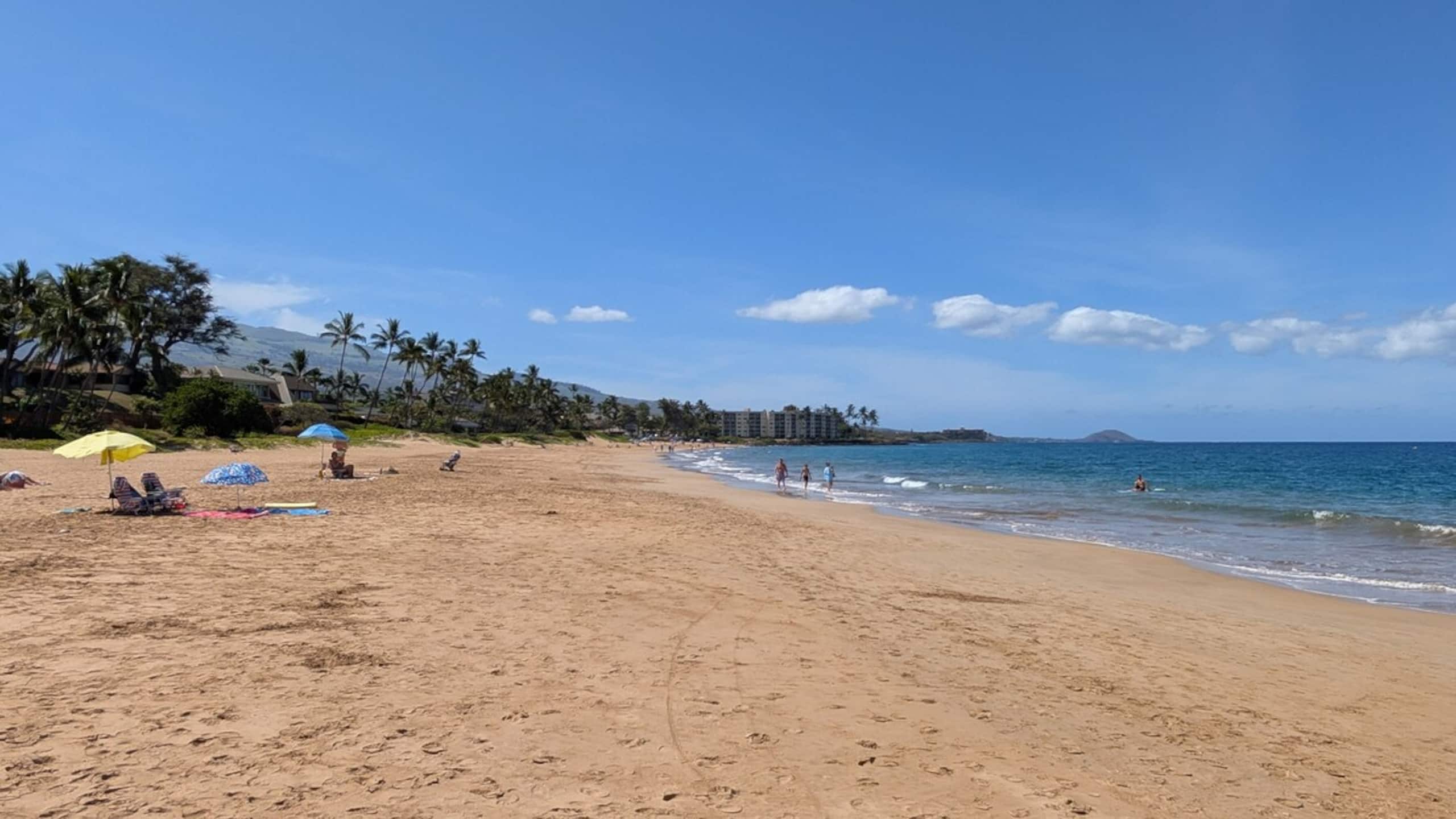 3 Bed 3 Bath condo 1/2 block Beach - Photo 47