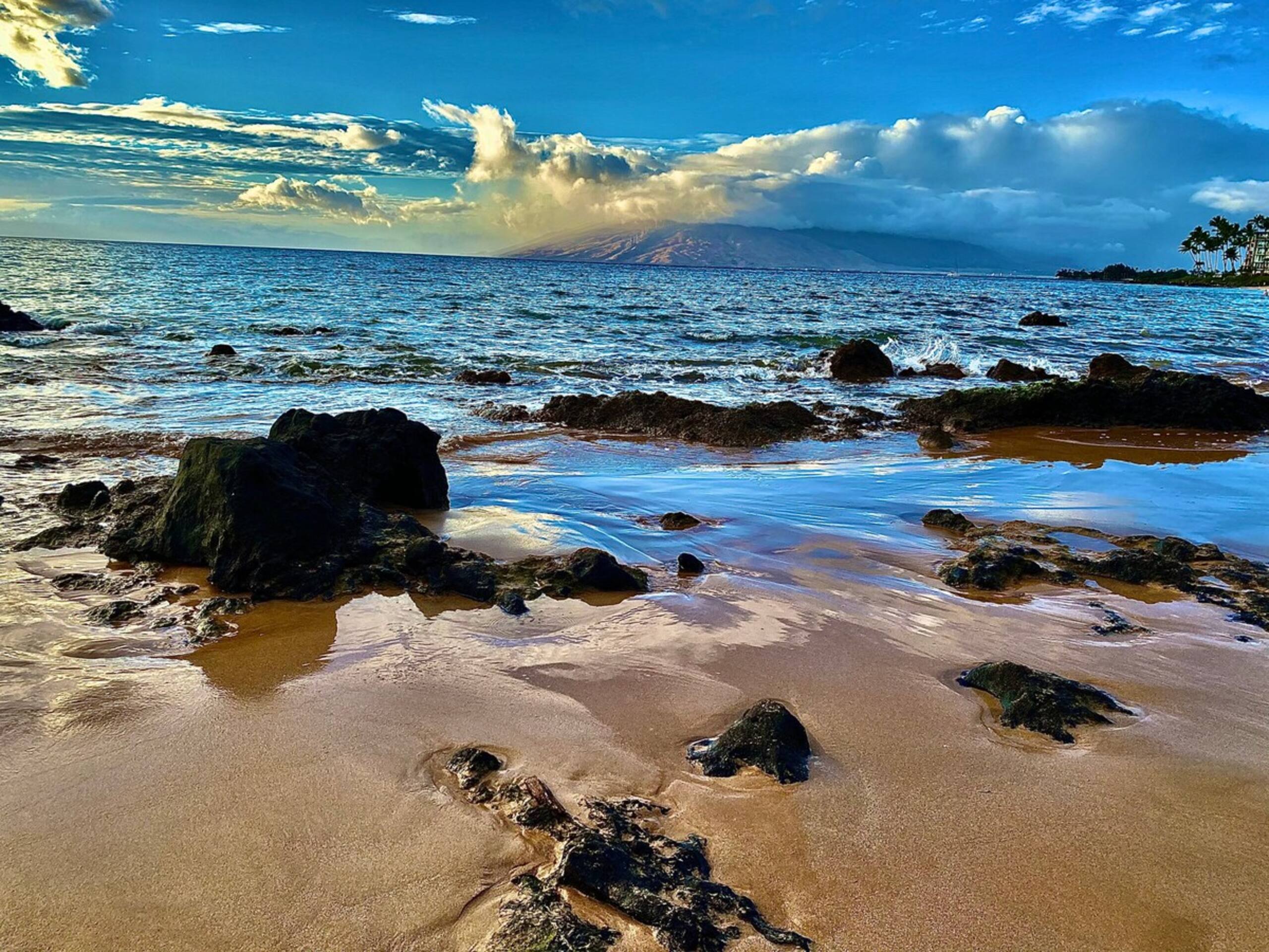 Kihei Akahi B-204 Steps To Kam II Beach - Photo 4