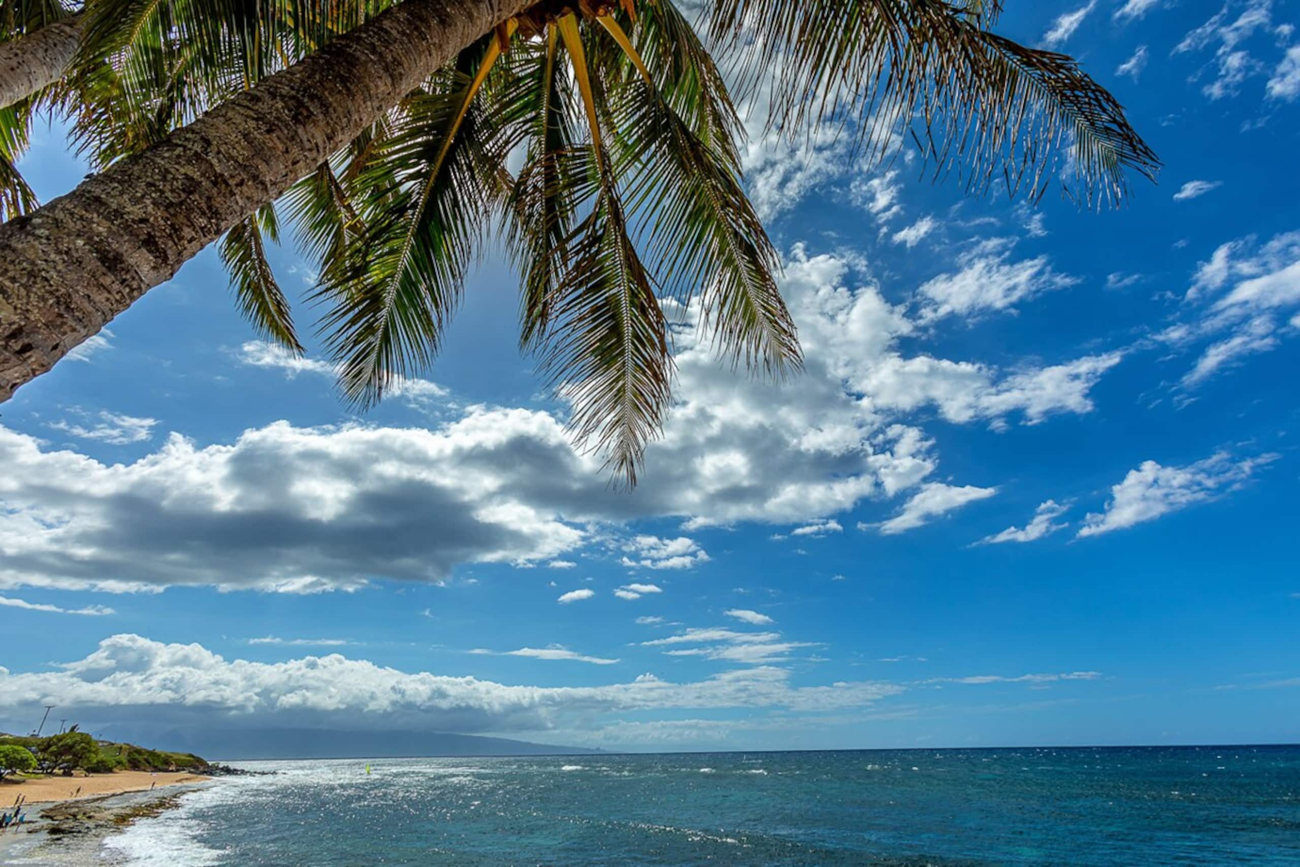 Paia Surf Condo - Photo 15