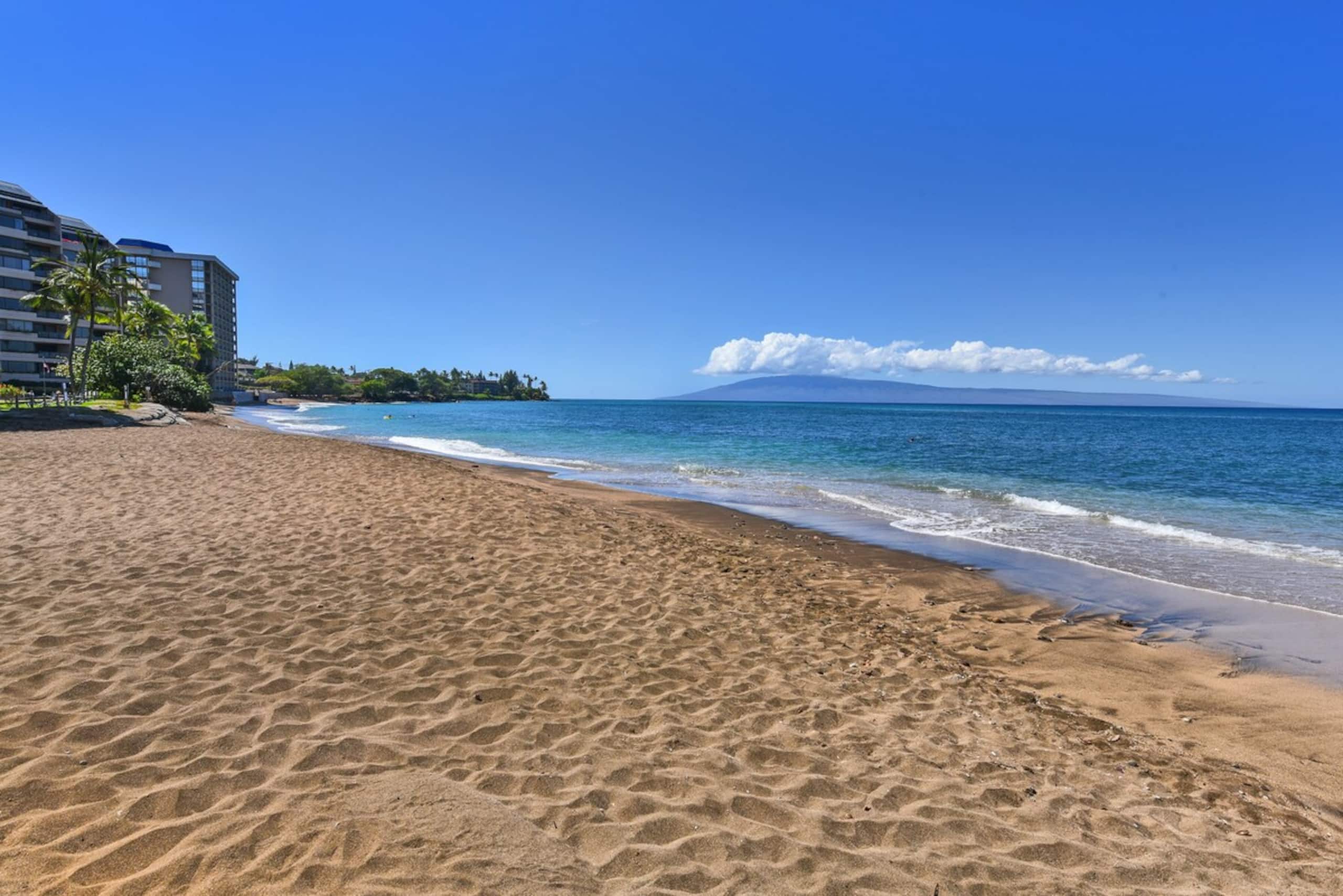 2/2 Oceanfront Ground Floor Great rates for Aug - Photo 33