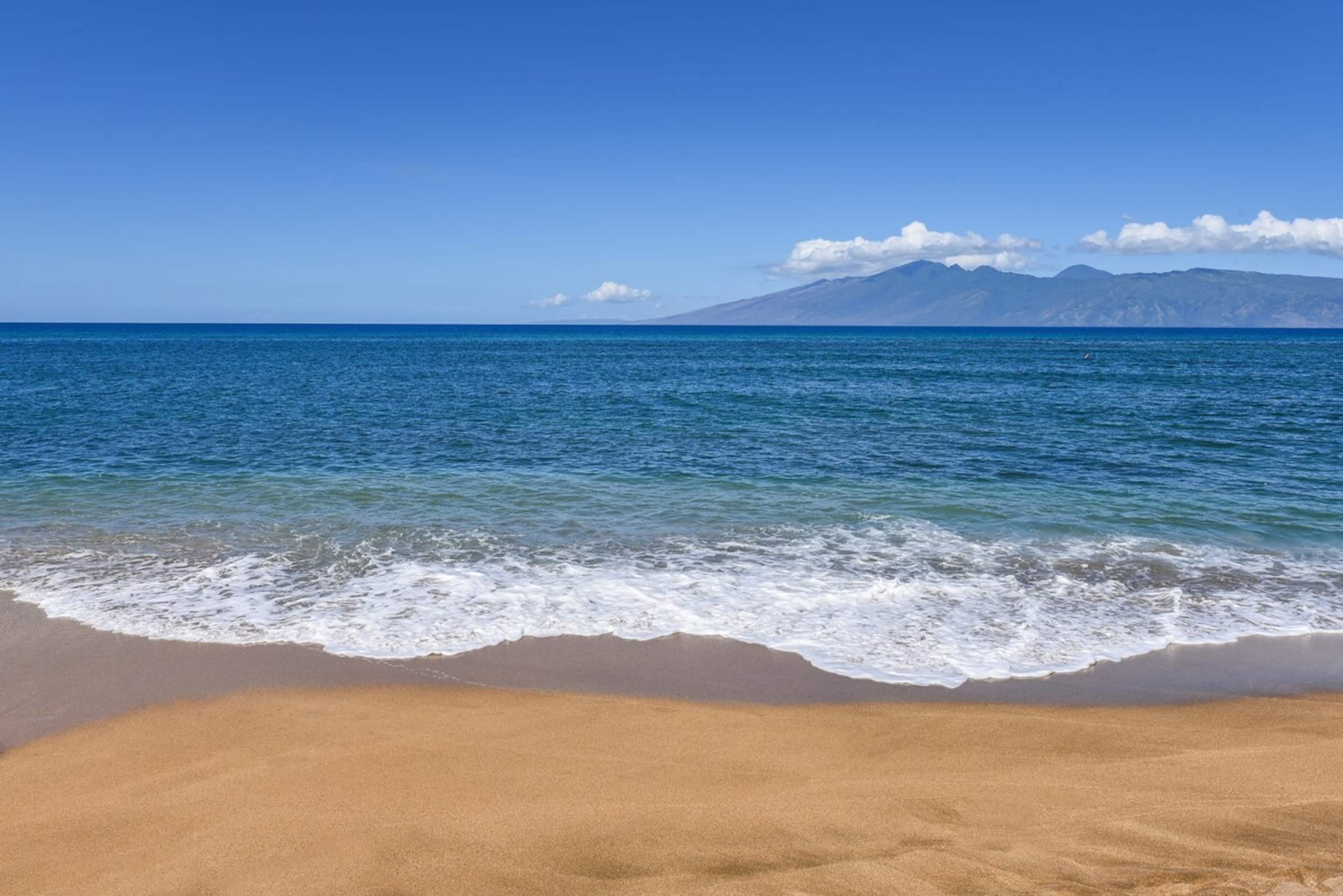2/2 Oceanfront Ground Floor Great rates for Aug - Photo 34