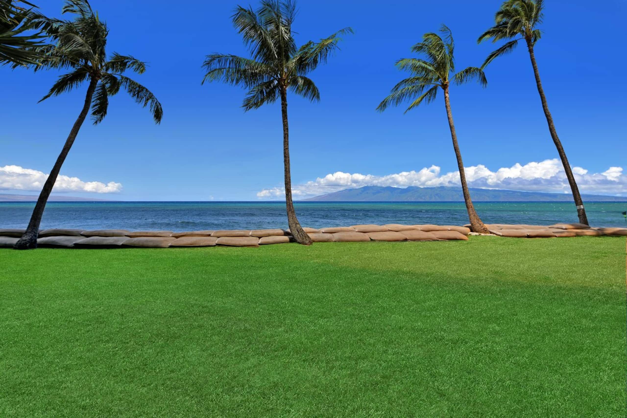 2/2 Oceanfront Ground Floor Great rates for Aug - Photo 32