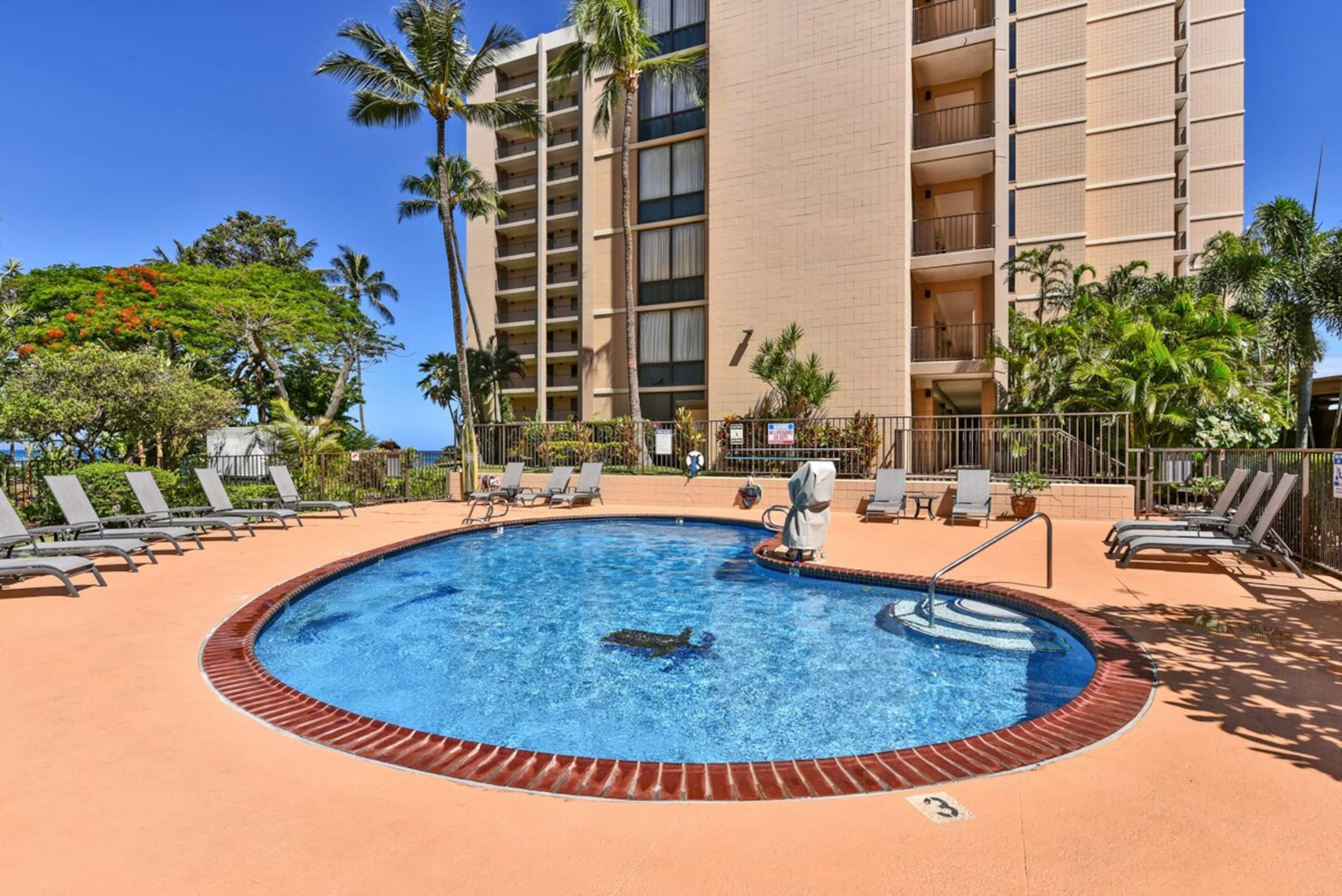 2/2 Oceanfront Ground Floor Great rates for Aug - Photo 46