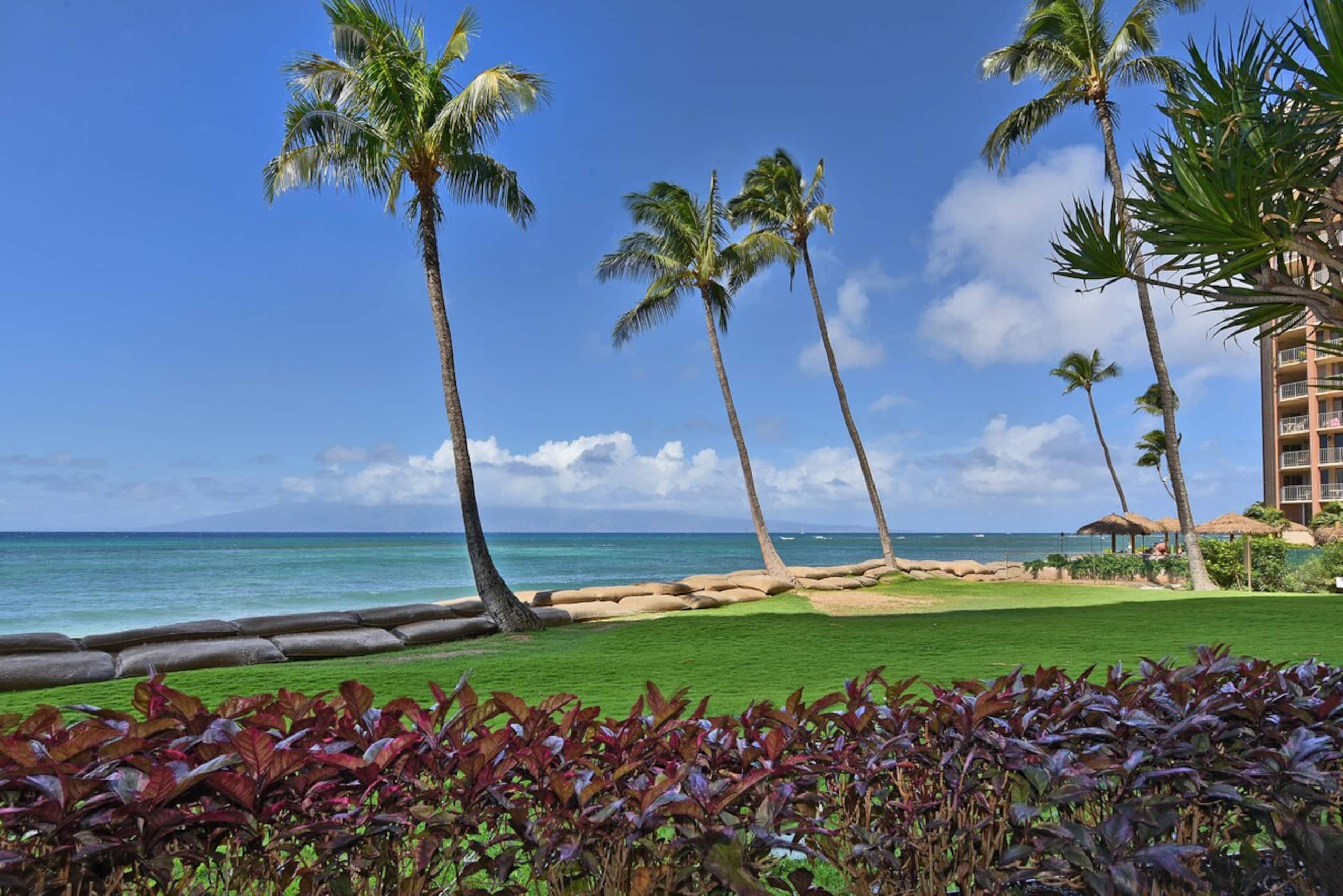 2/2 Oceanfront Ground Floor Great rates for Aug - Photo 28