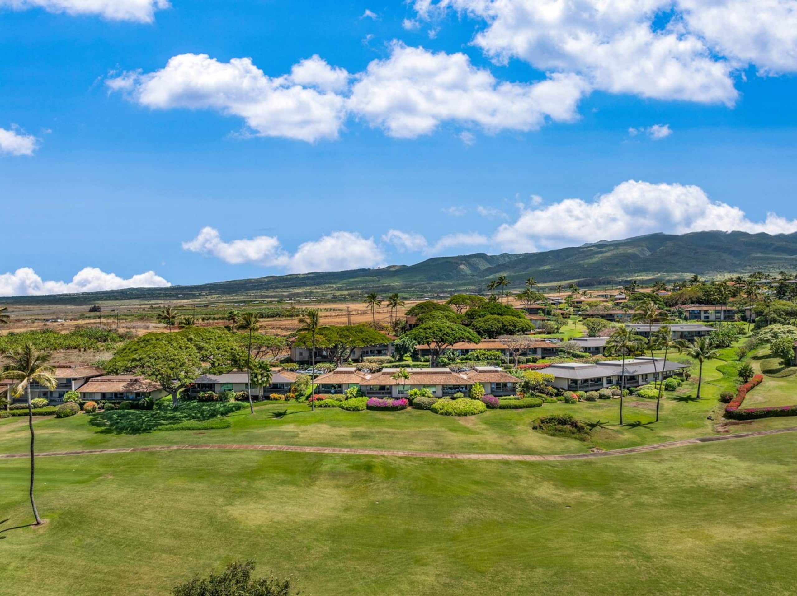 Kaanapali Plantation 25 Remodeled 3BD Ocean Views - Photo 40