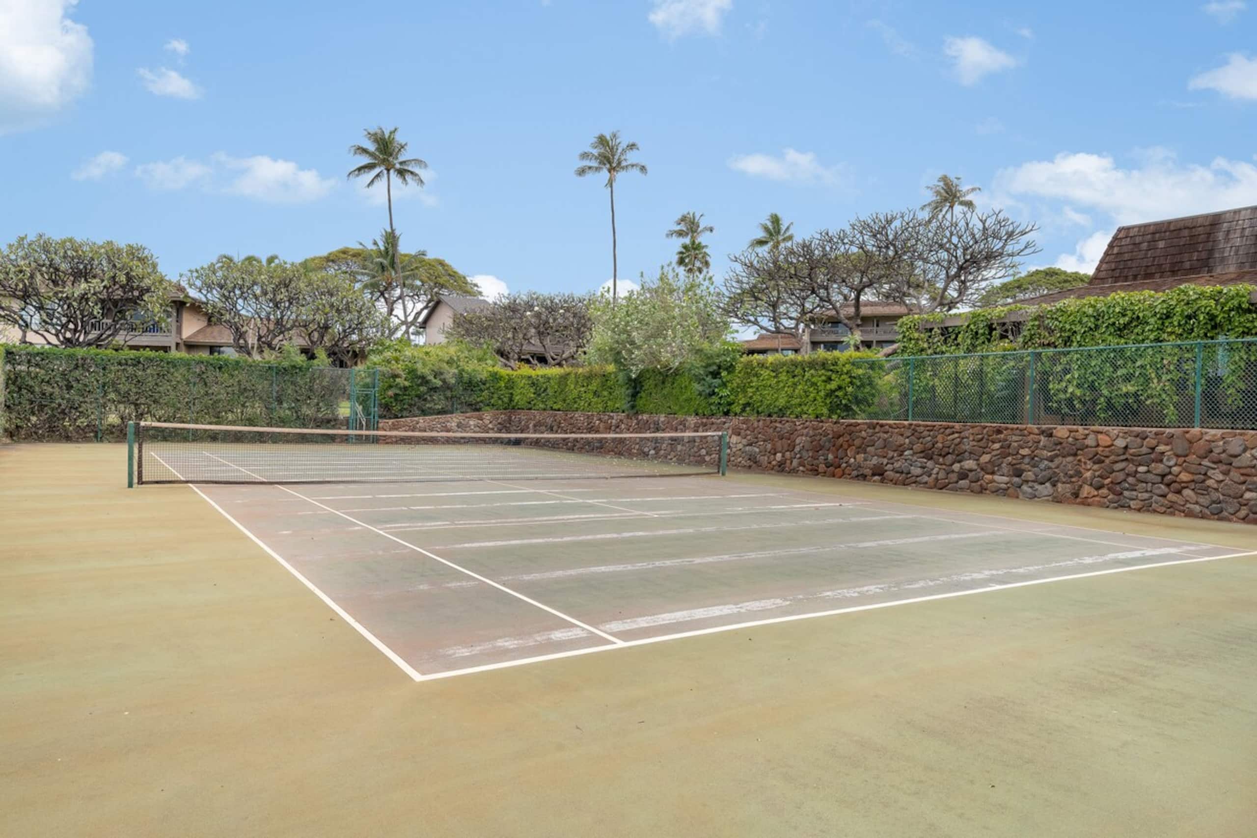 Kaanapali Plantation 25 Remodeled 3BD Ocean Views - Photo 28
