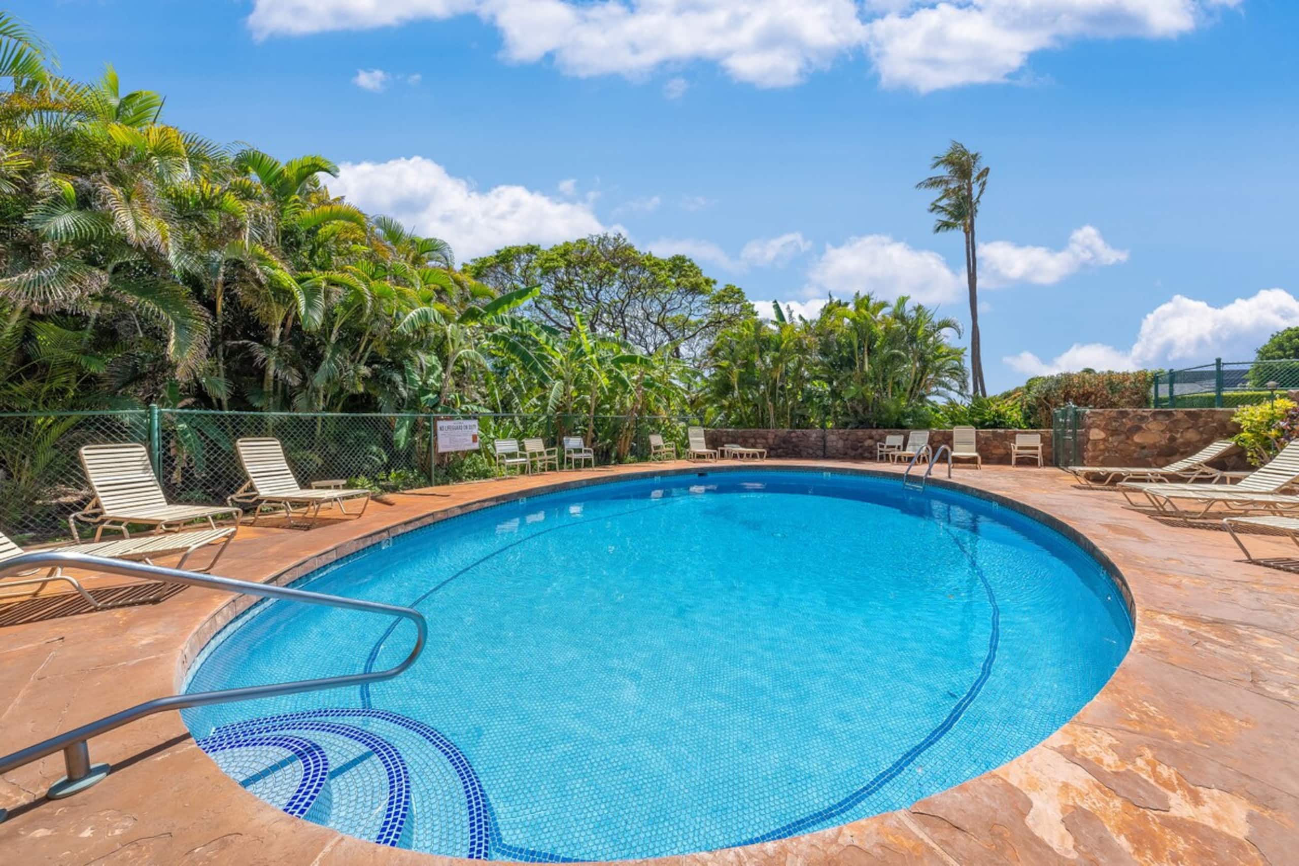 Kaanapali Plantation 25 Remodeled 3BD Ocean Views - Photo 42