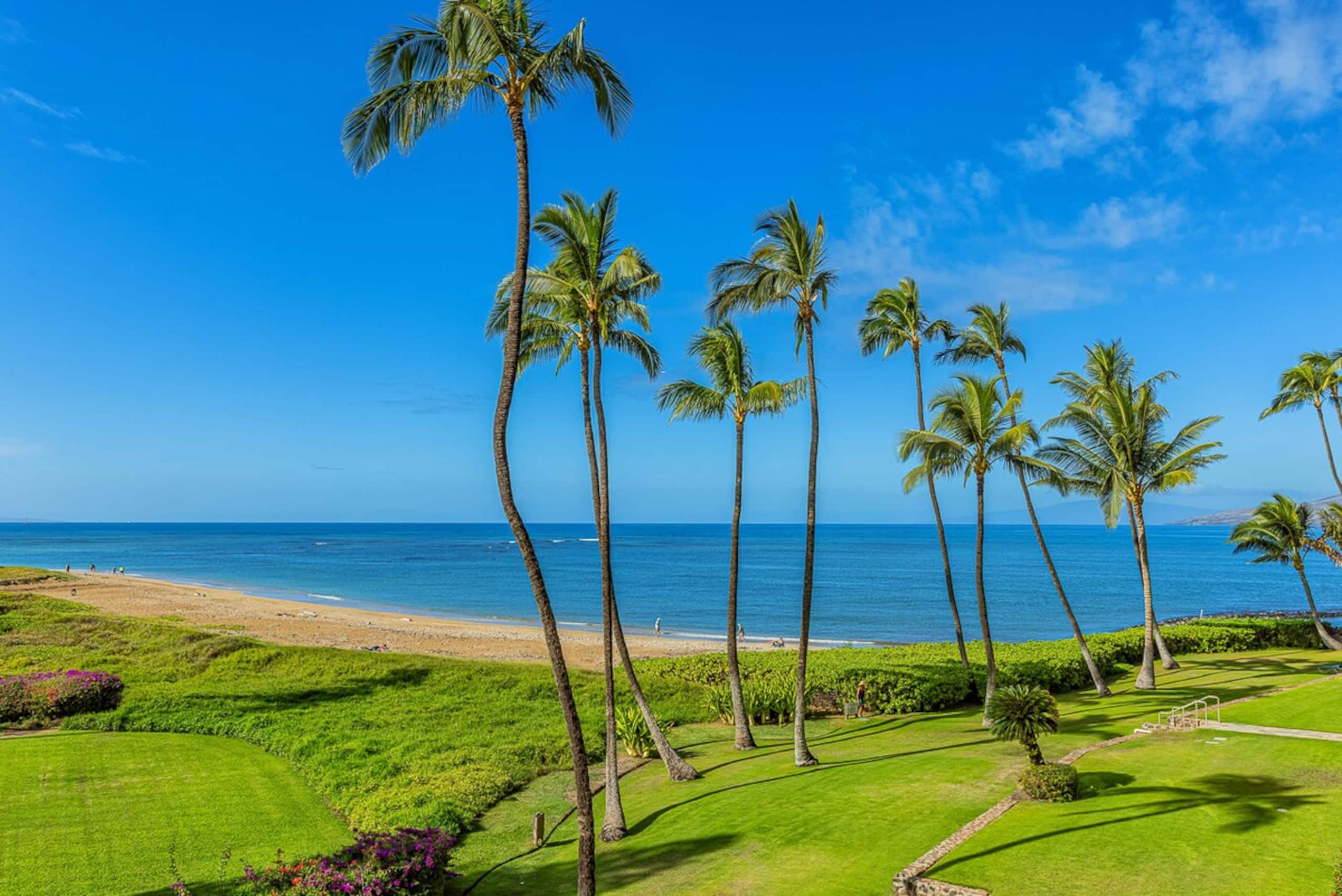 Oceanfront 2BR Kihei condo w/ sunset views - Photo 8