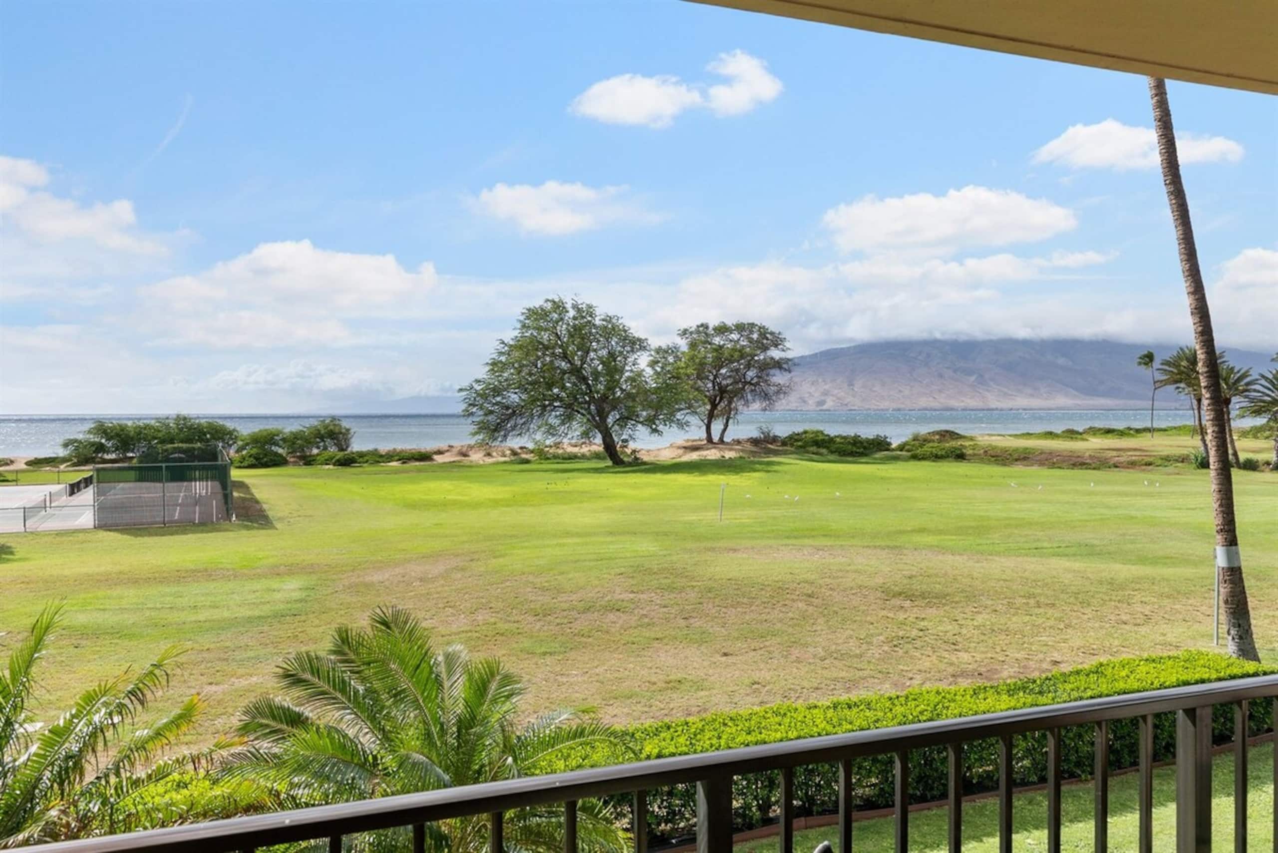 Direct Oceanfront View Walk on Beaches - A/C - Photo 29