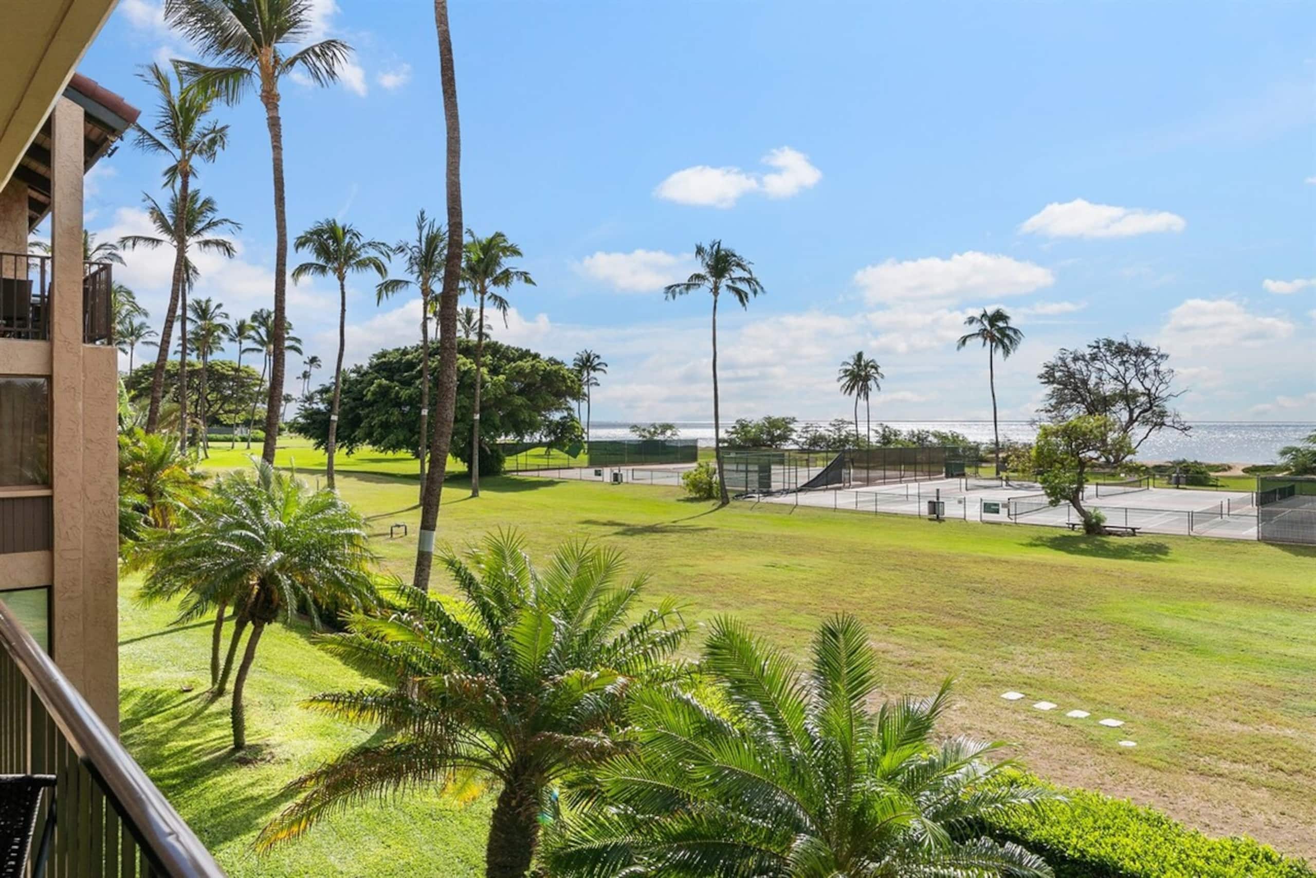 Direct Oceanfront View Walk on Beaches - A/C - Photo 28