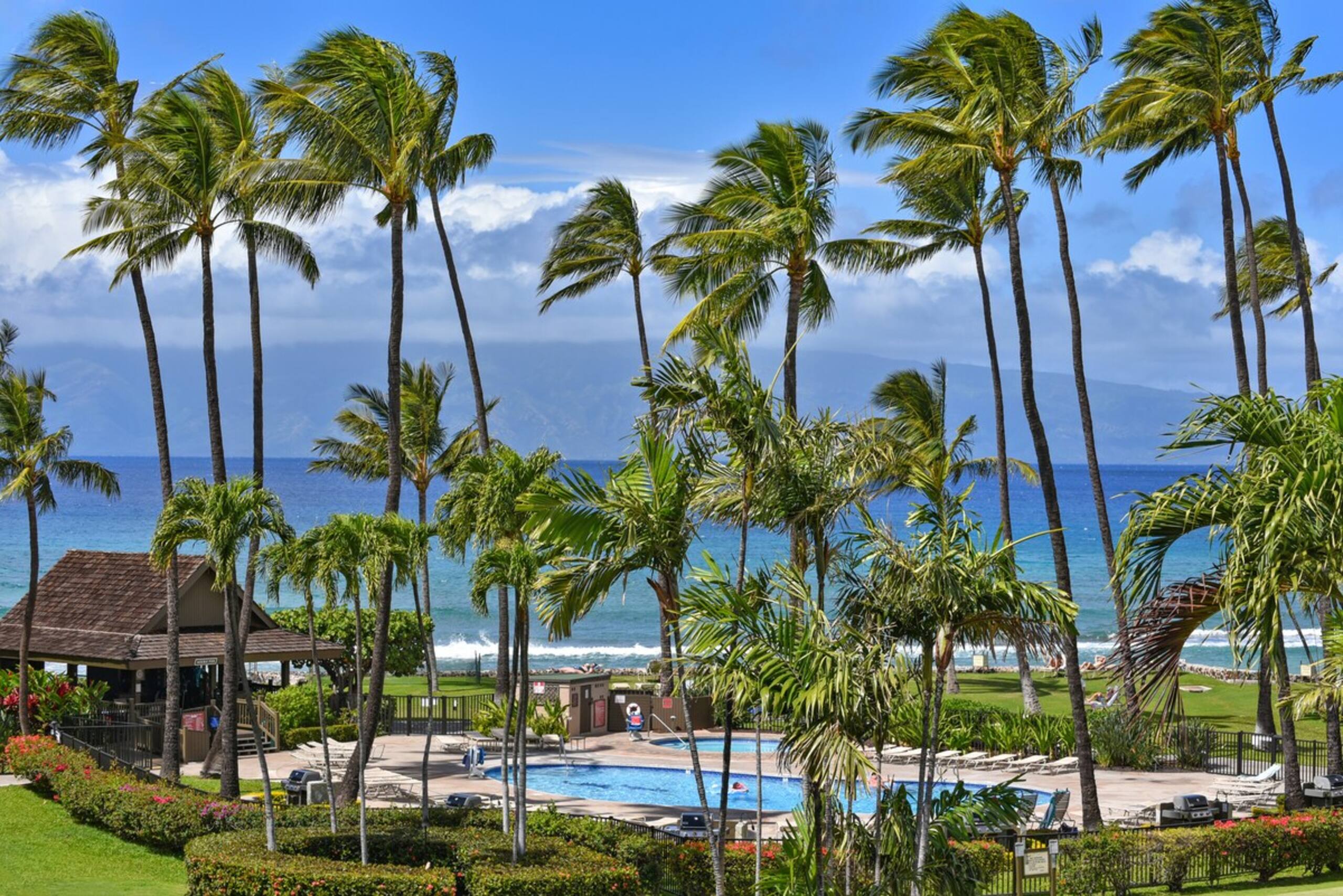 Gorgeous 2bed/2bath Papakea Oceanview - Photo 31