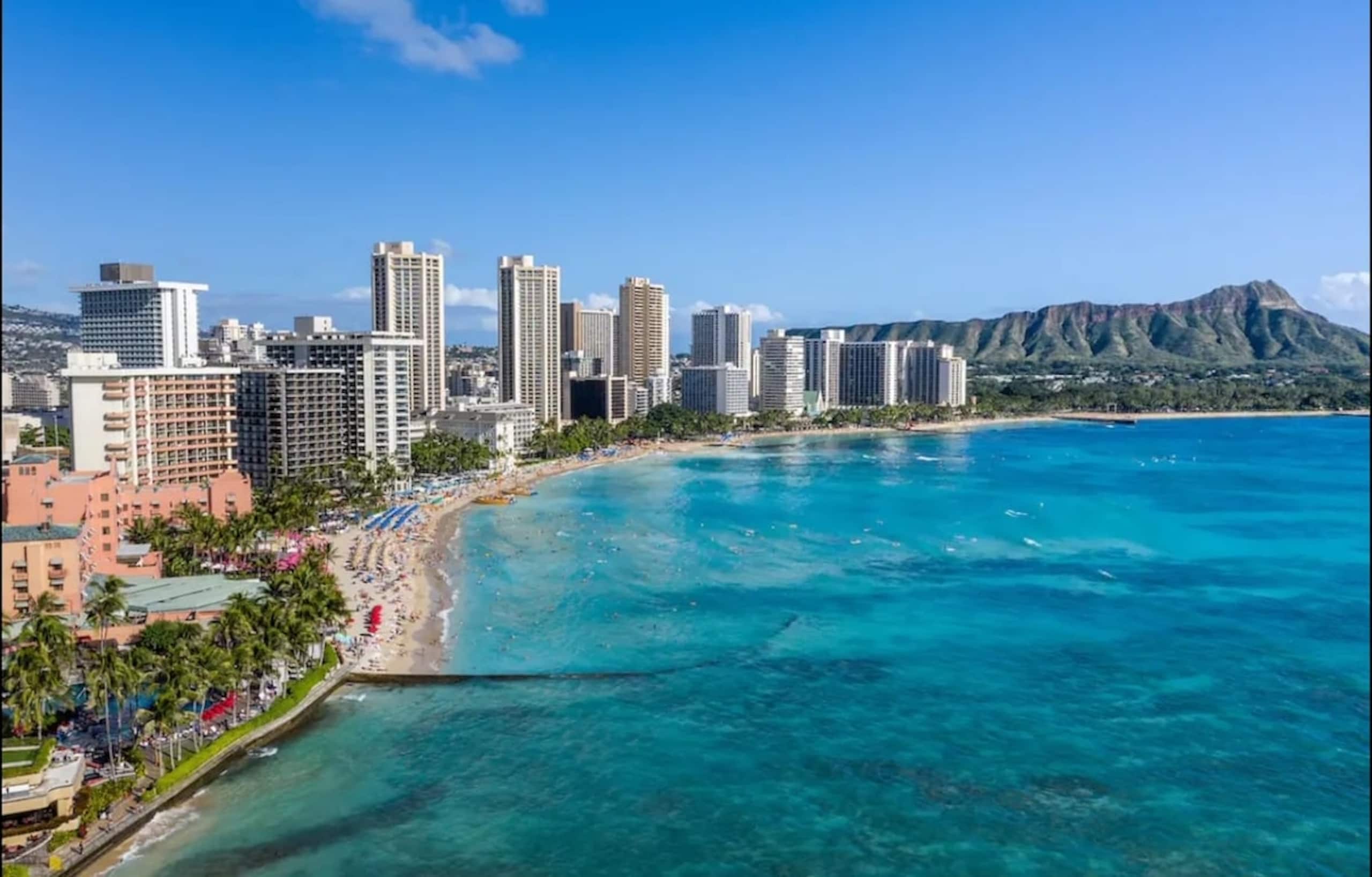 28A FLR-Beautiful Diamond Head Retreat/Oasis - Photo 40