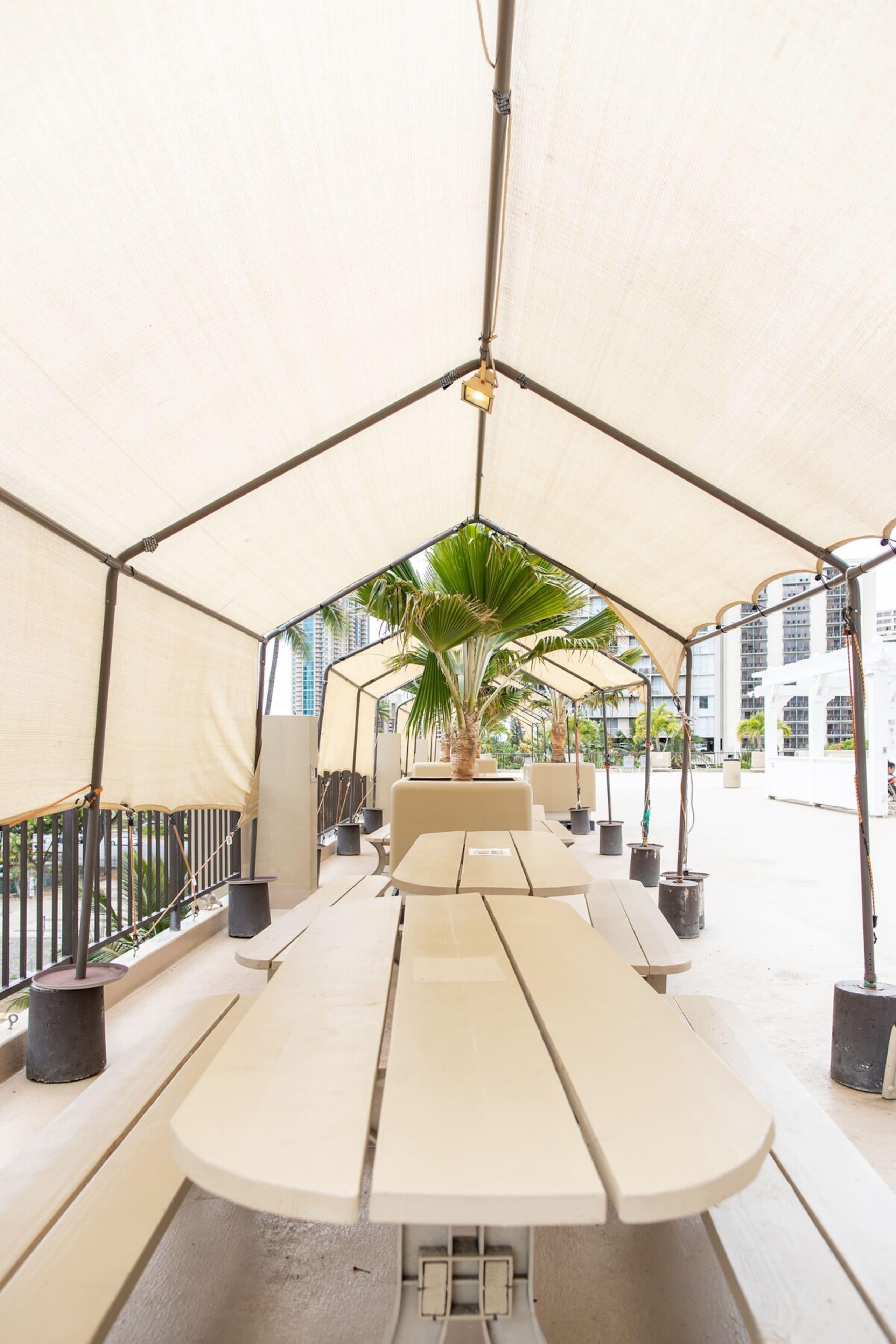 28A FLR-Beautiful Diamond Head Retreat/Oasis - Photo 32