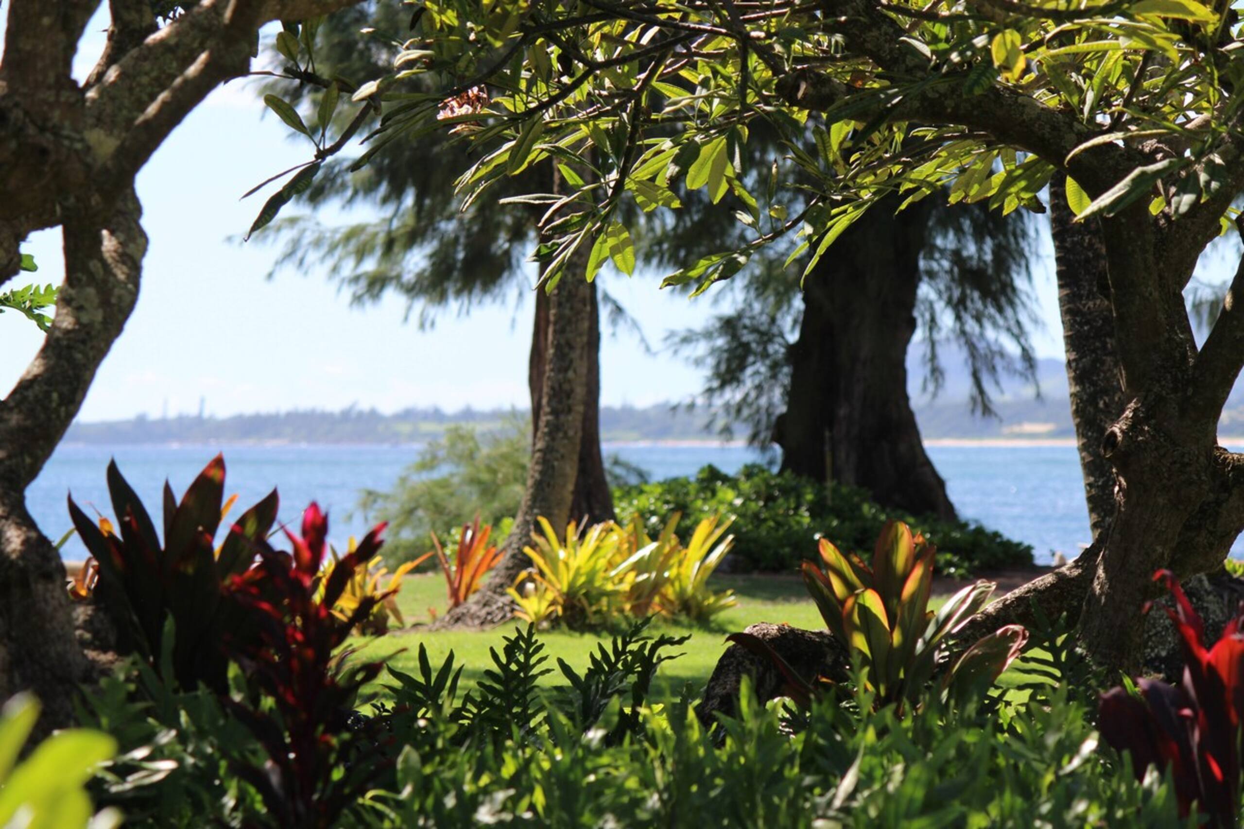 Beachfront, Steps to the Surf, AC, Wfi, Pool, 158 - Photo 9