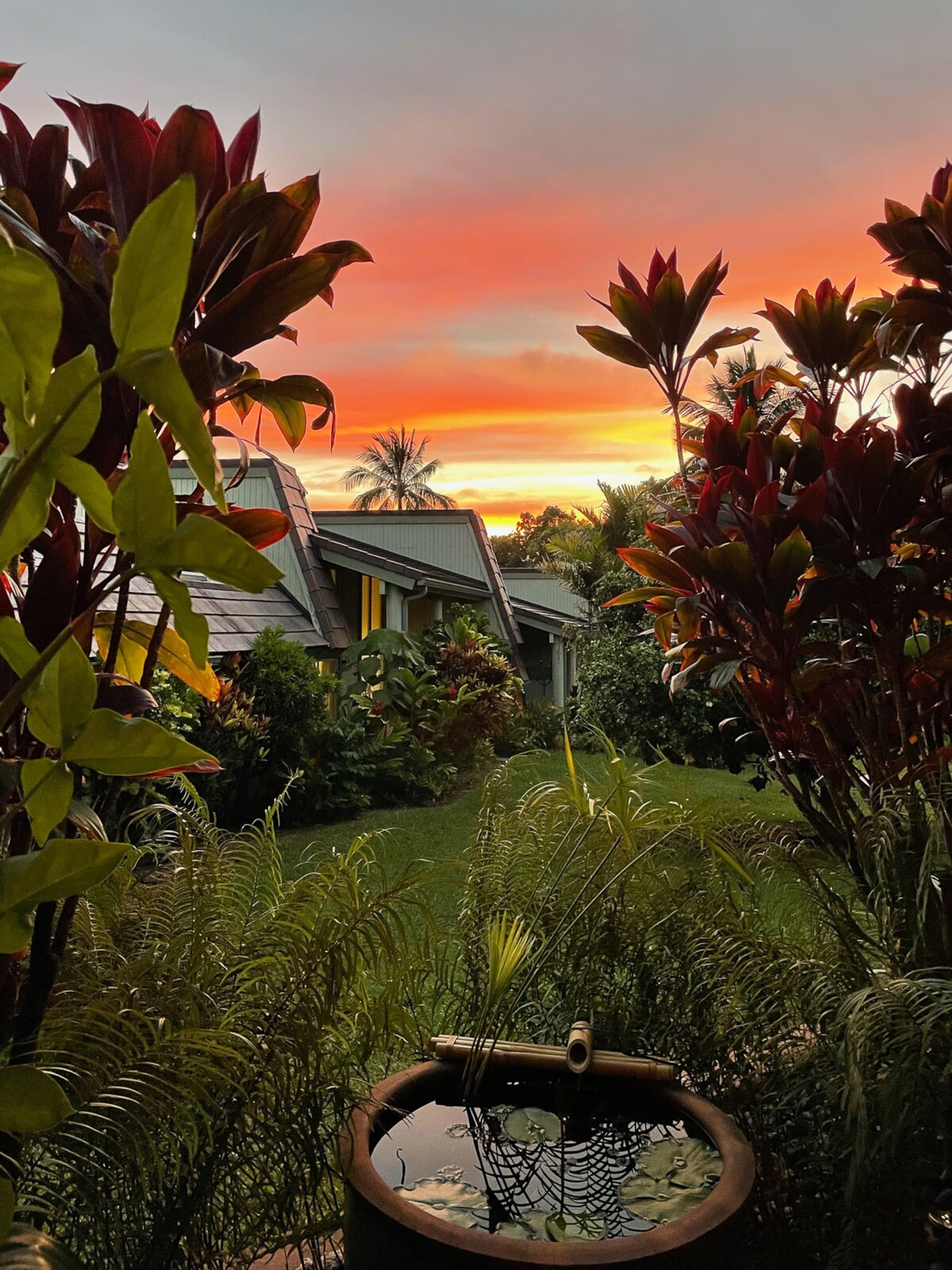 Quiet Tropical Gardens, 2B/2B - Photo 20