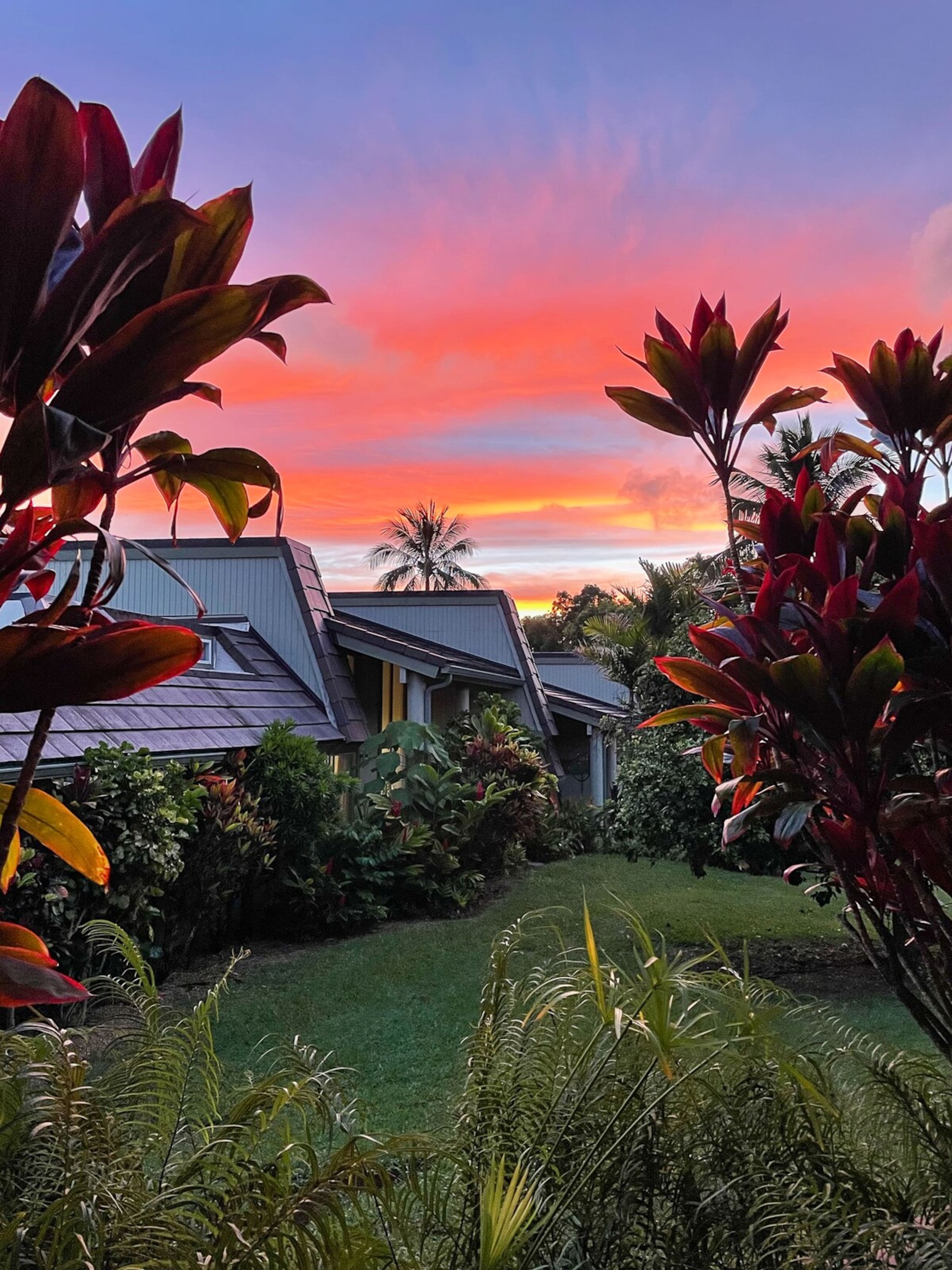 Quiet Tropical Gardens, 2B/2B - Photo 21