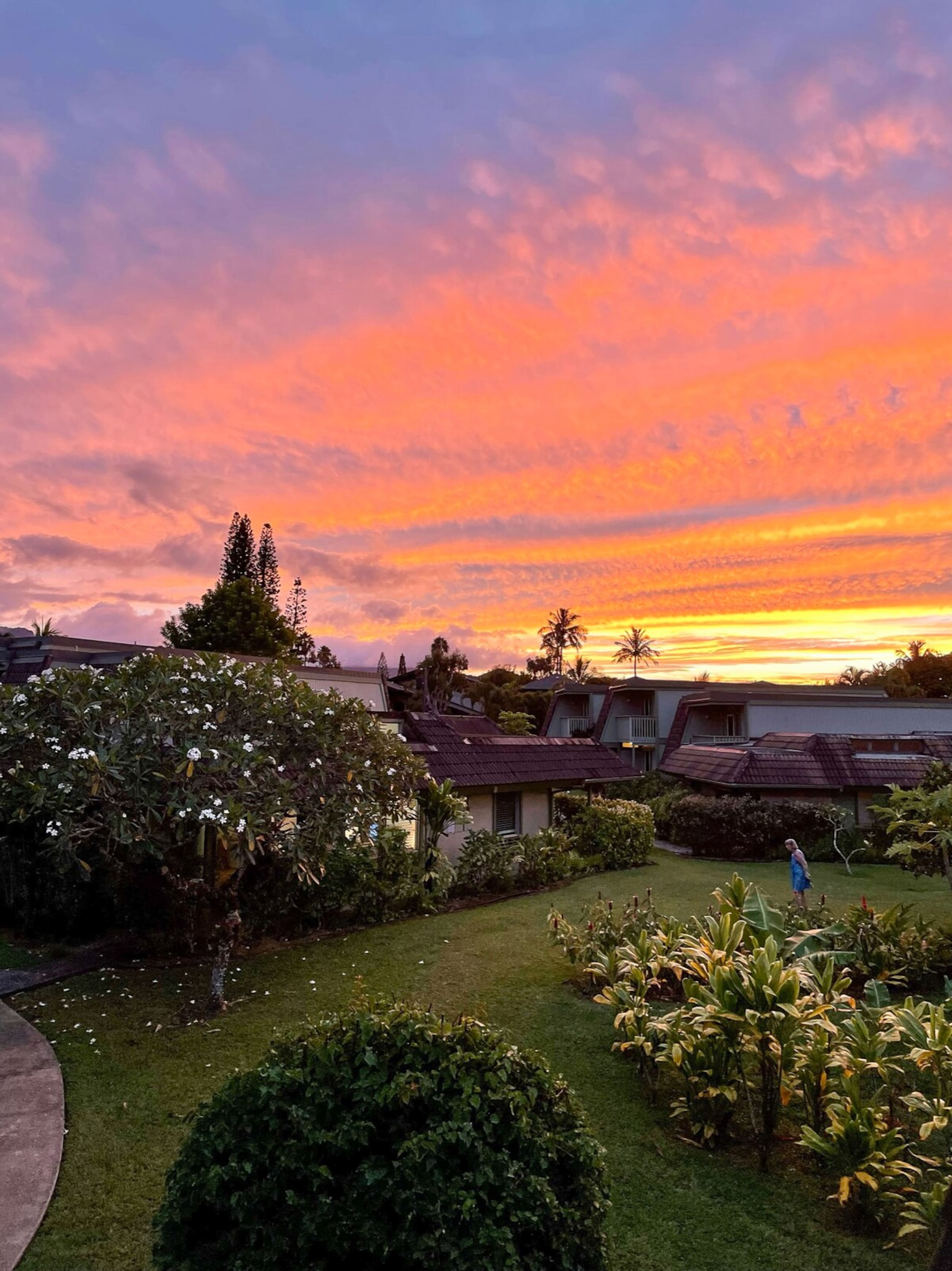 Quiet Tropical Gardens, 2B/2B - Photo 35
