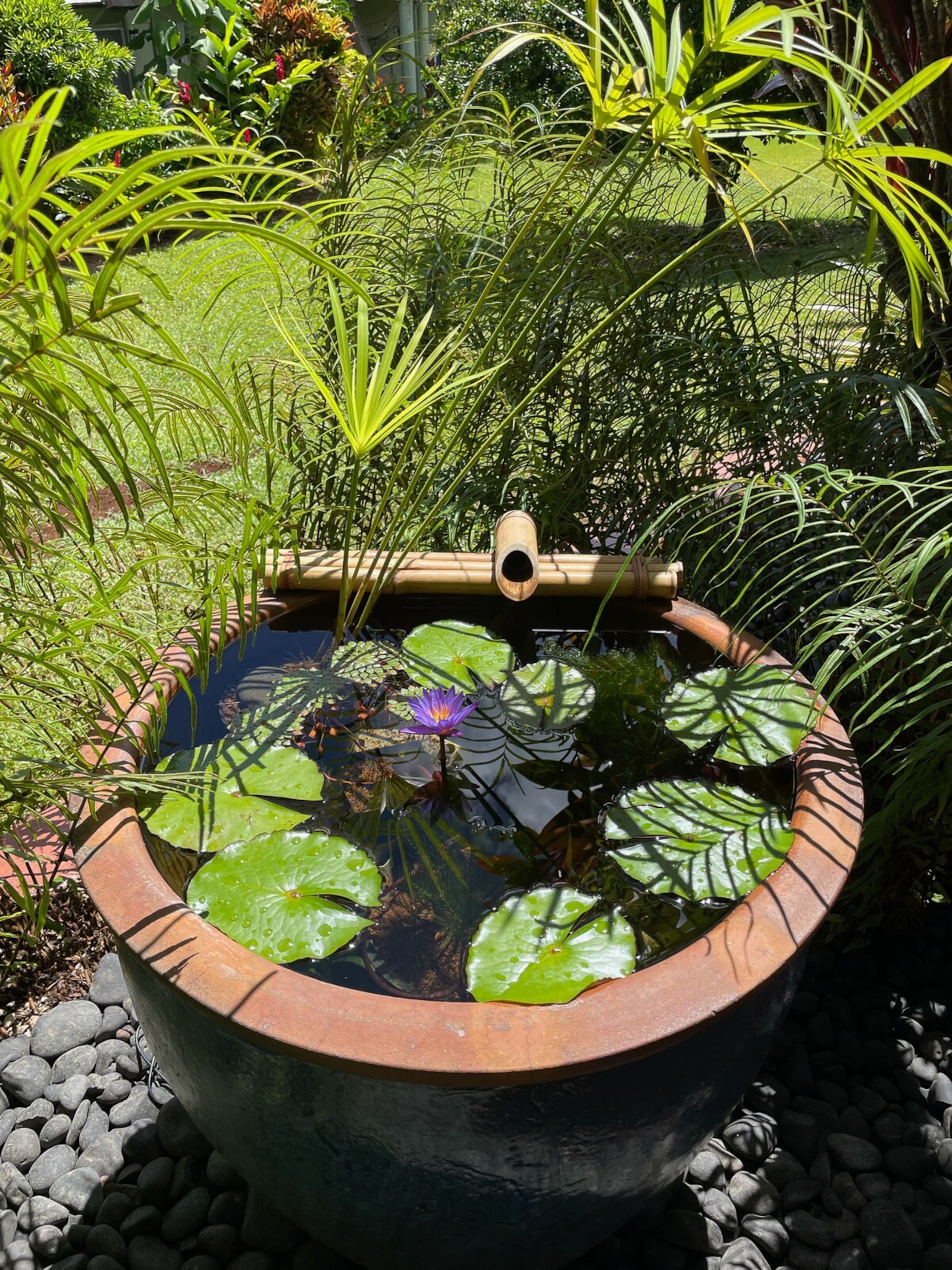 Quiet Tropical Gardens, 2B/2B - Photo 31