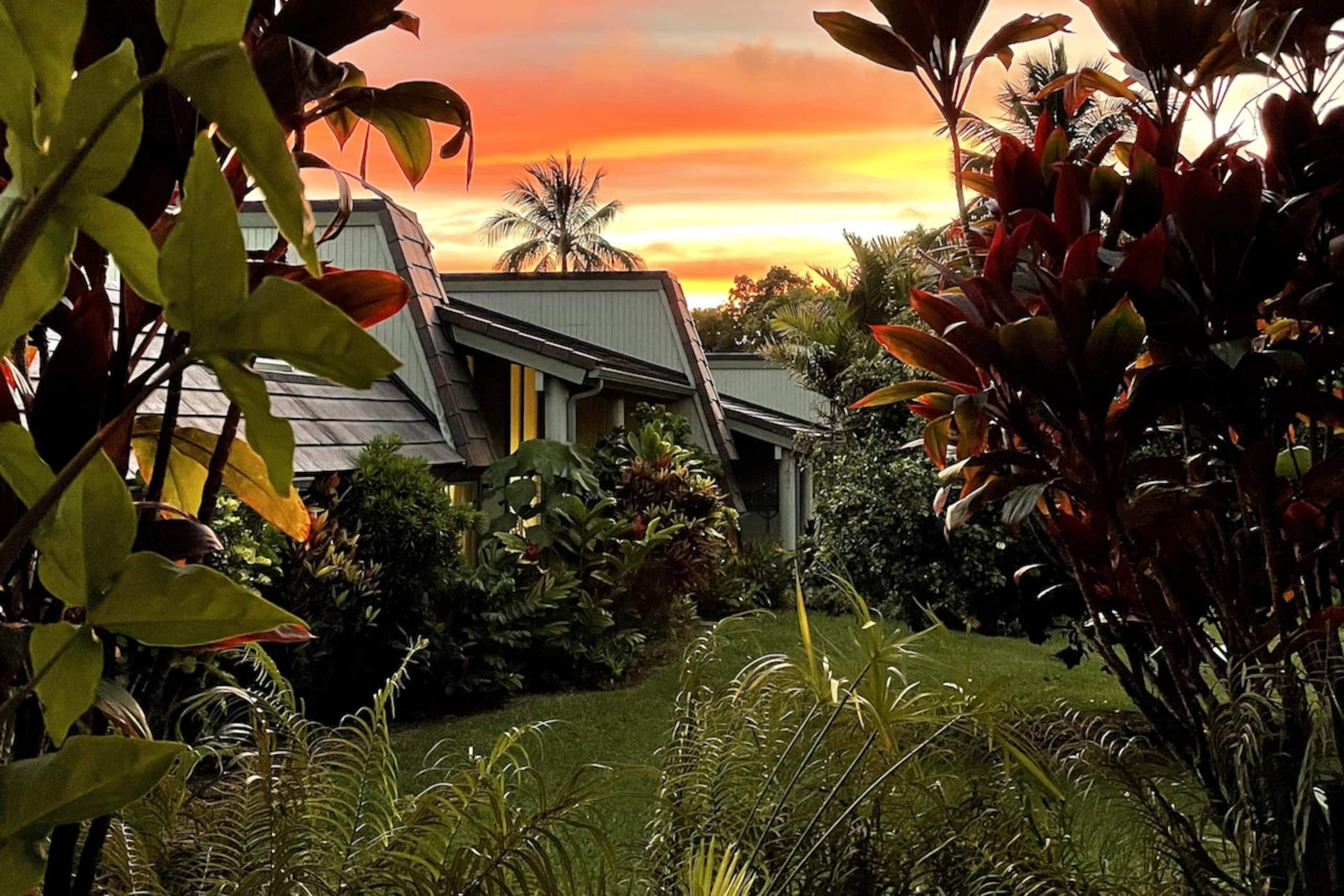 Quiet Tropical Gardens, 2B/2B - Photo 26