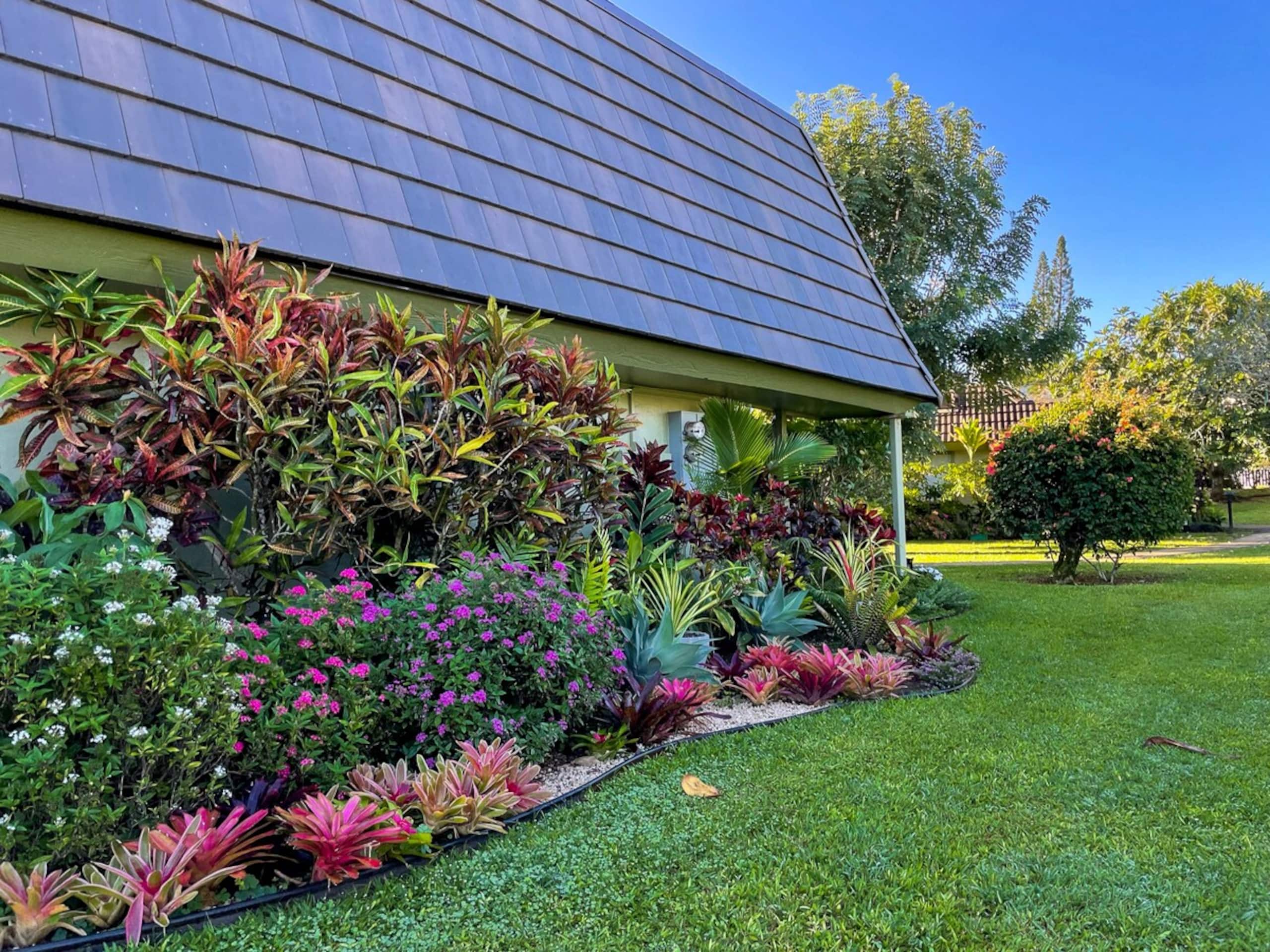 Quiet Tropical Gardens, 2B/2B - Photo 41