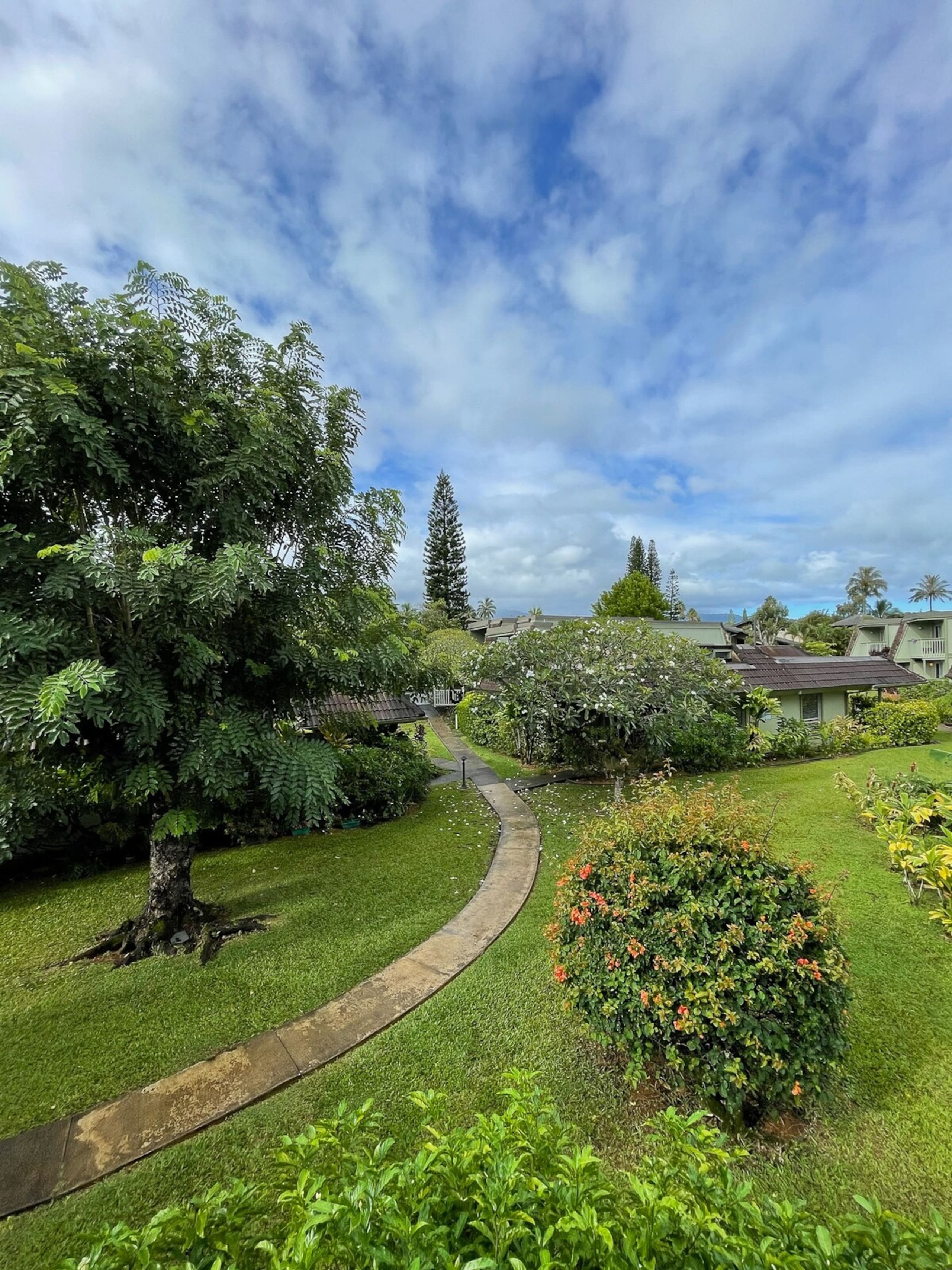 Quiet Tropical Gardens, 2B/2B - Photo 29