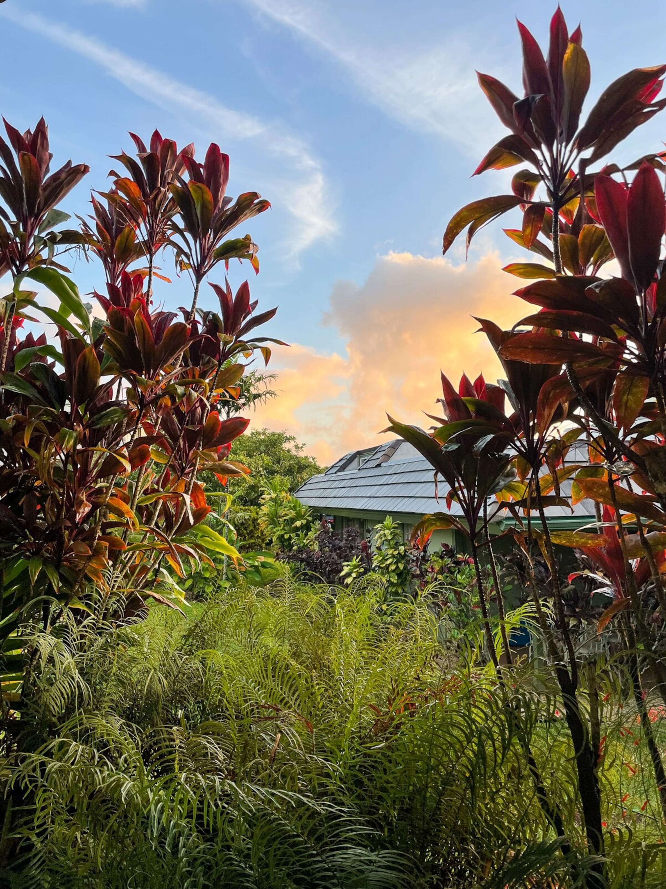 Quiet Tropical Gardens, 2B/2B - Photo 22