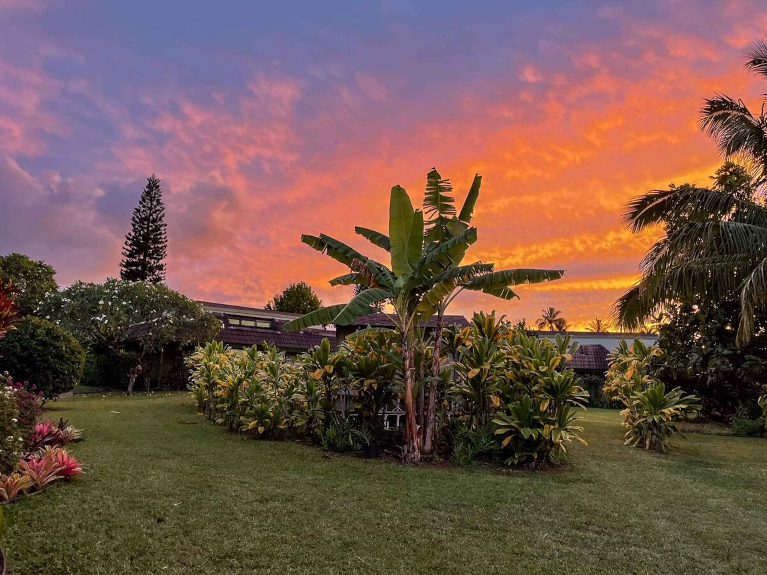 Quiet Tropical Gardens, 2B/2B - Photo 34