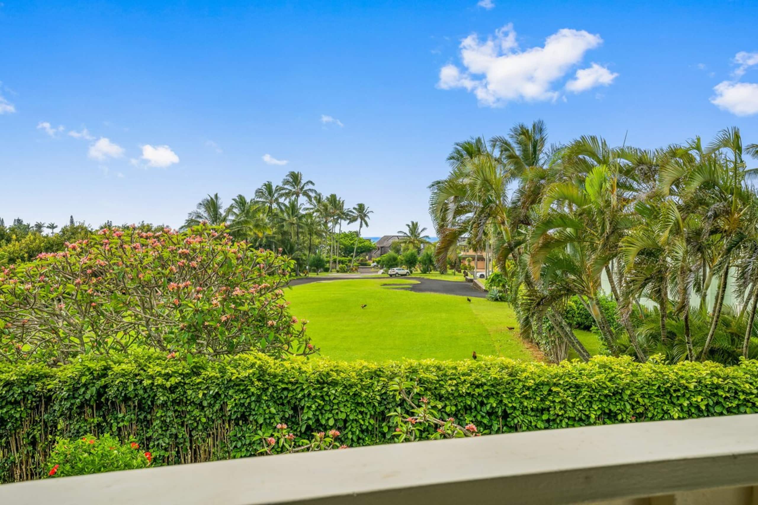 Princeville Oceanview Oasis - Photo 18