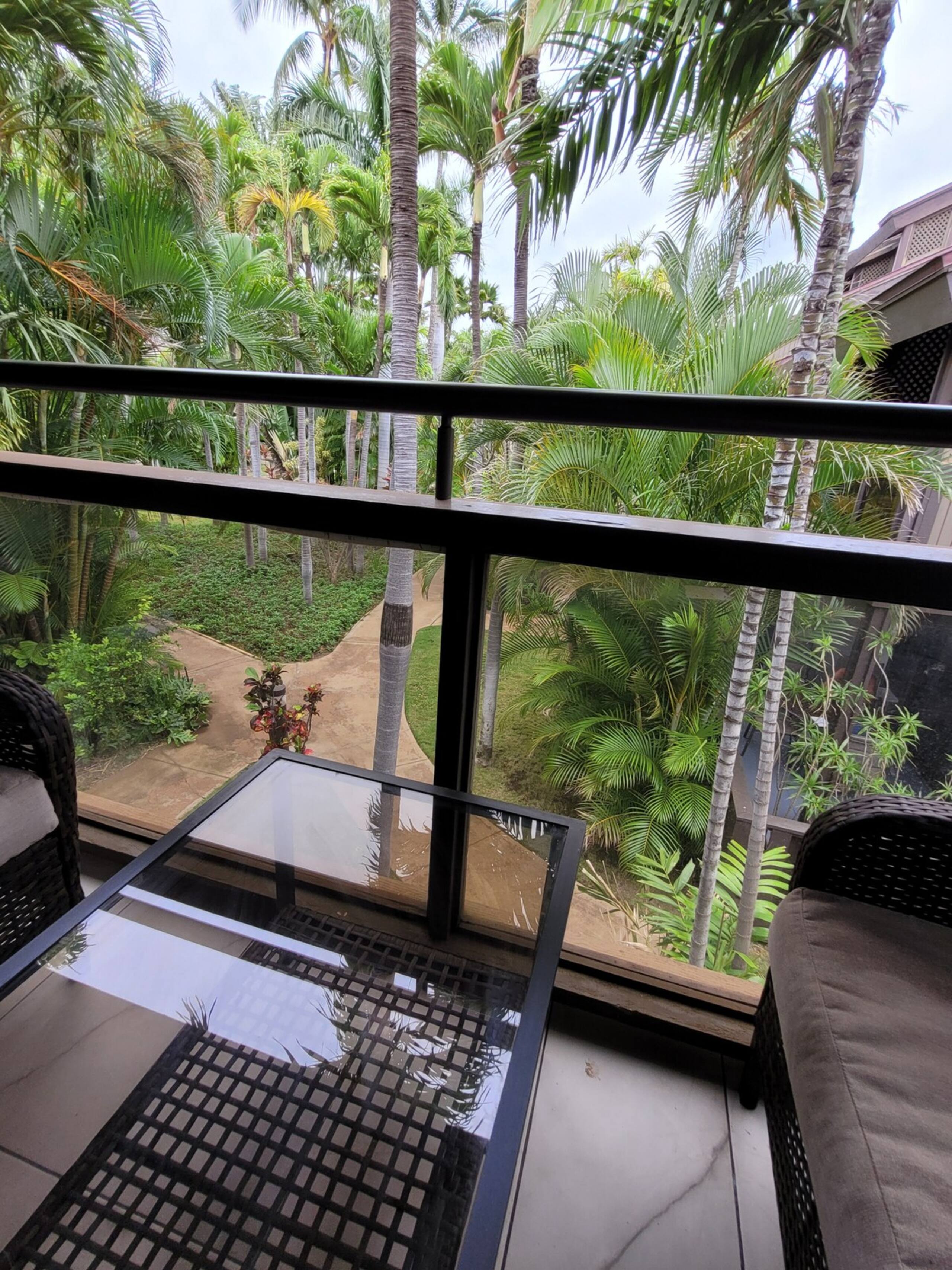 Newly Remodeled Tropical Resort - Photo 12