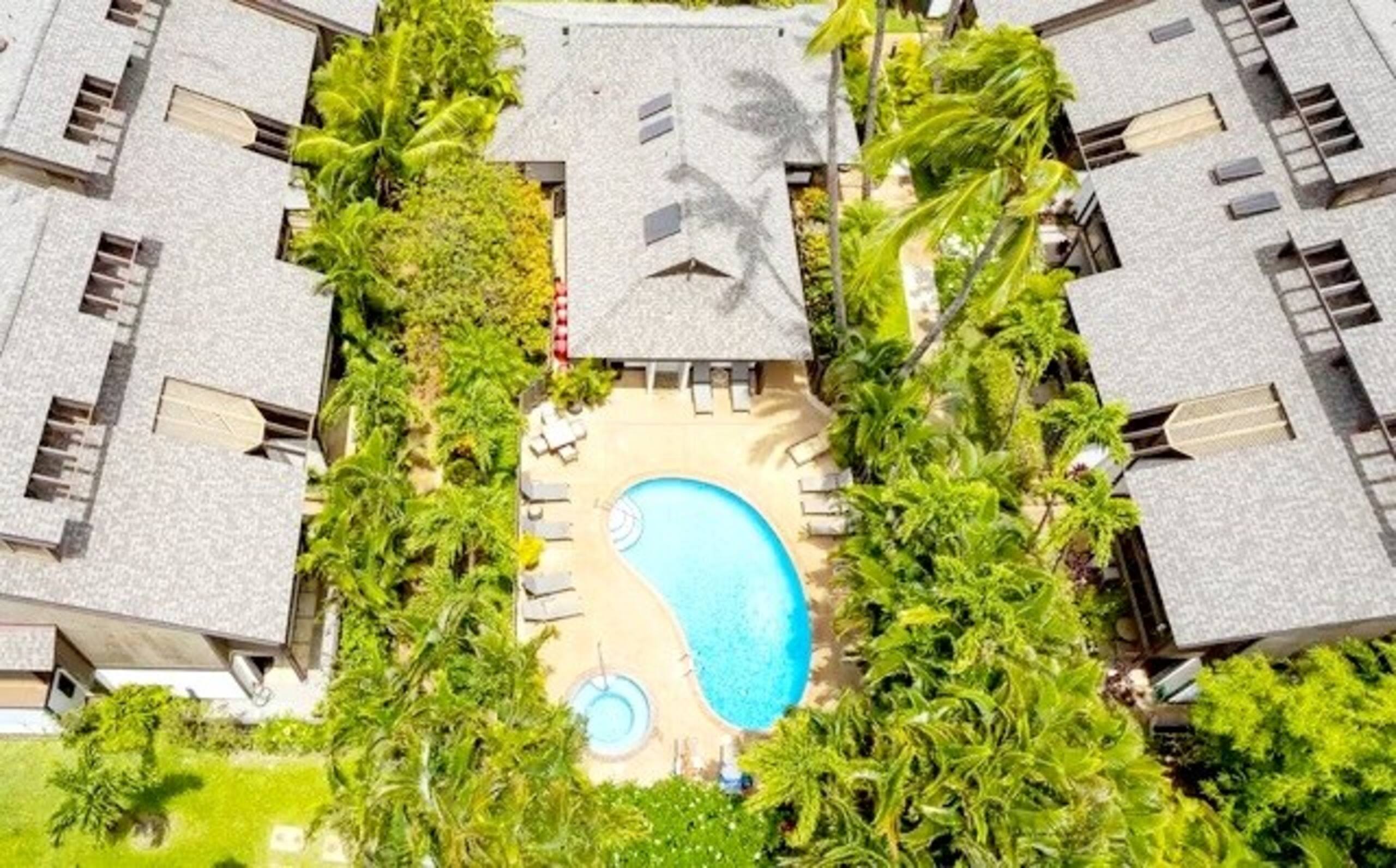 Newly Remodeled Tropical Resort - Photo 14