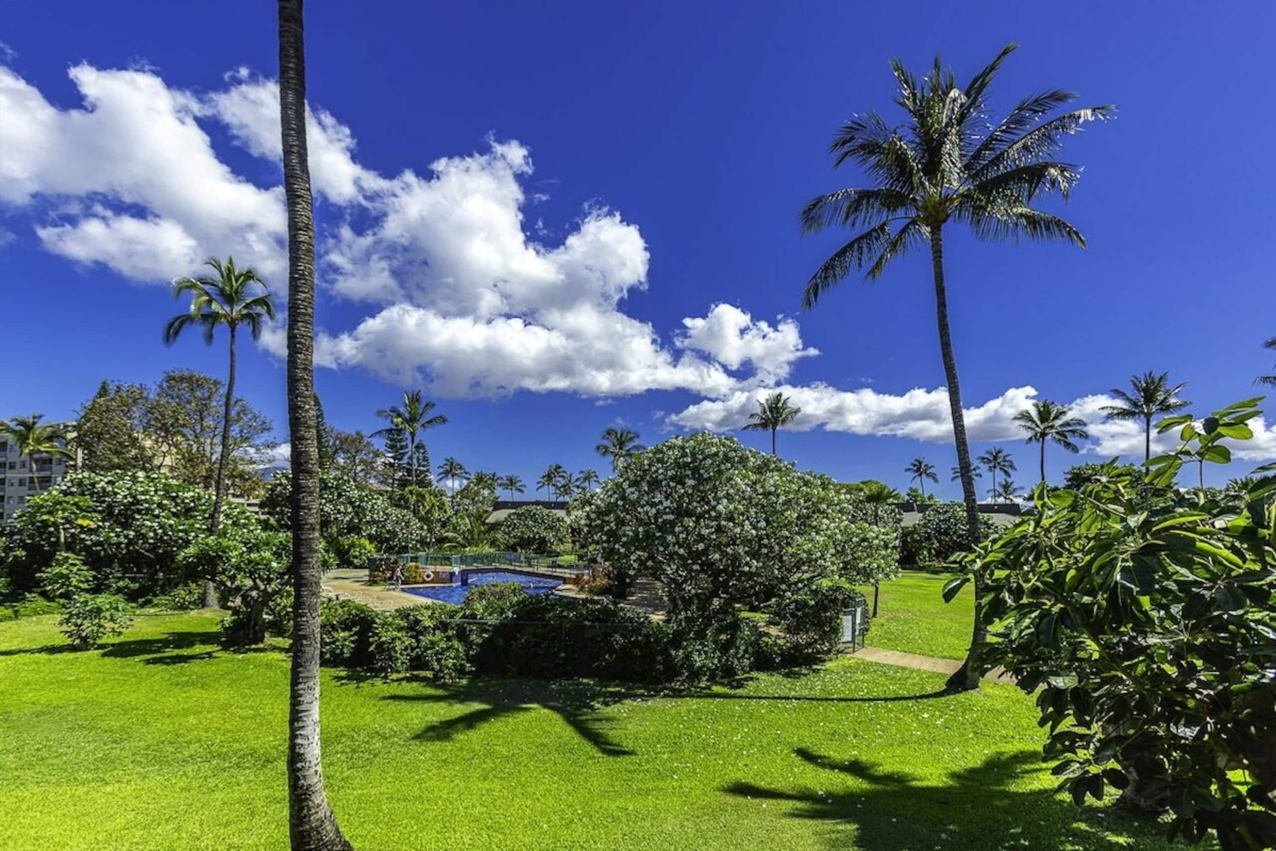 Kihei Gem-Condo & Lanai by Beach - Photo 26