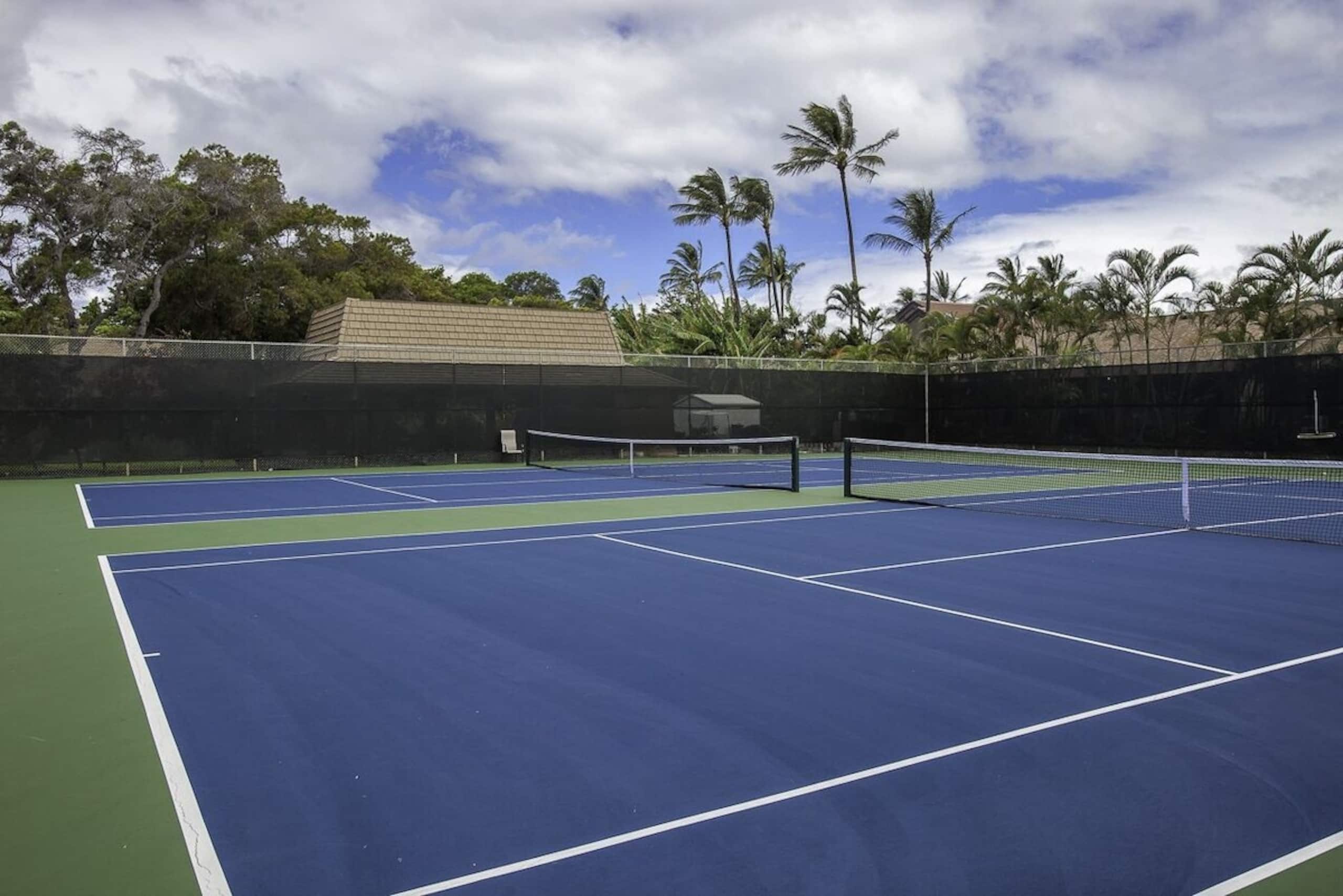 Kihei Gem-Condo & Lanai by Beach - Photo 24