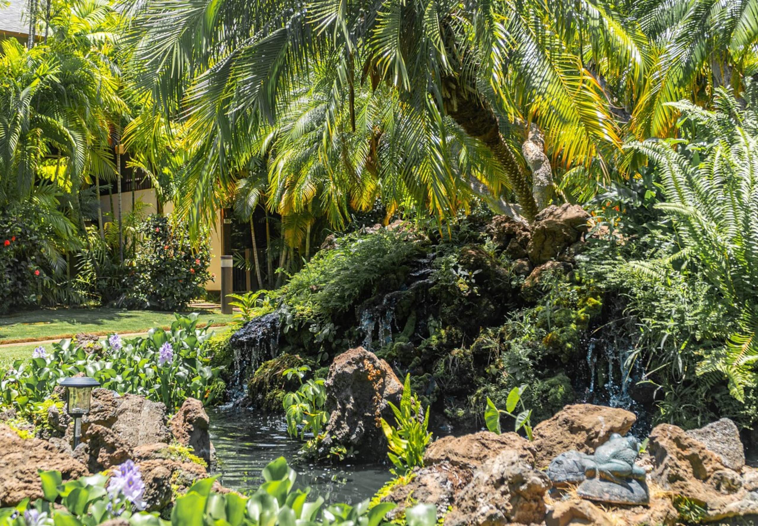 3-Min walk to Beach and Turtles. Pool and Garden - Photo 16