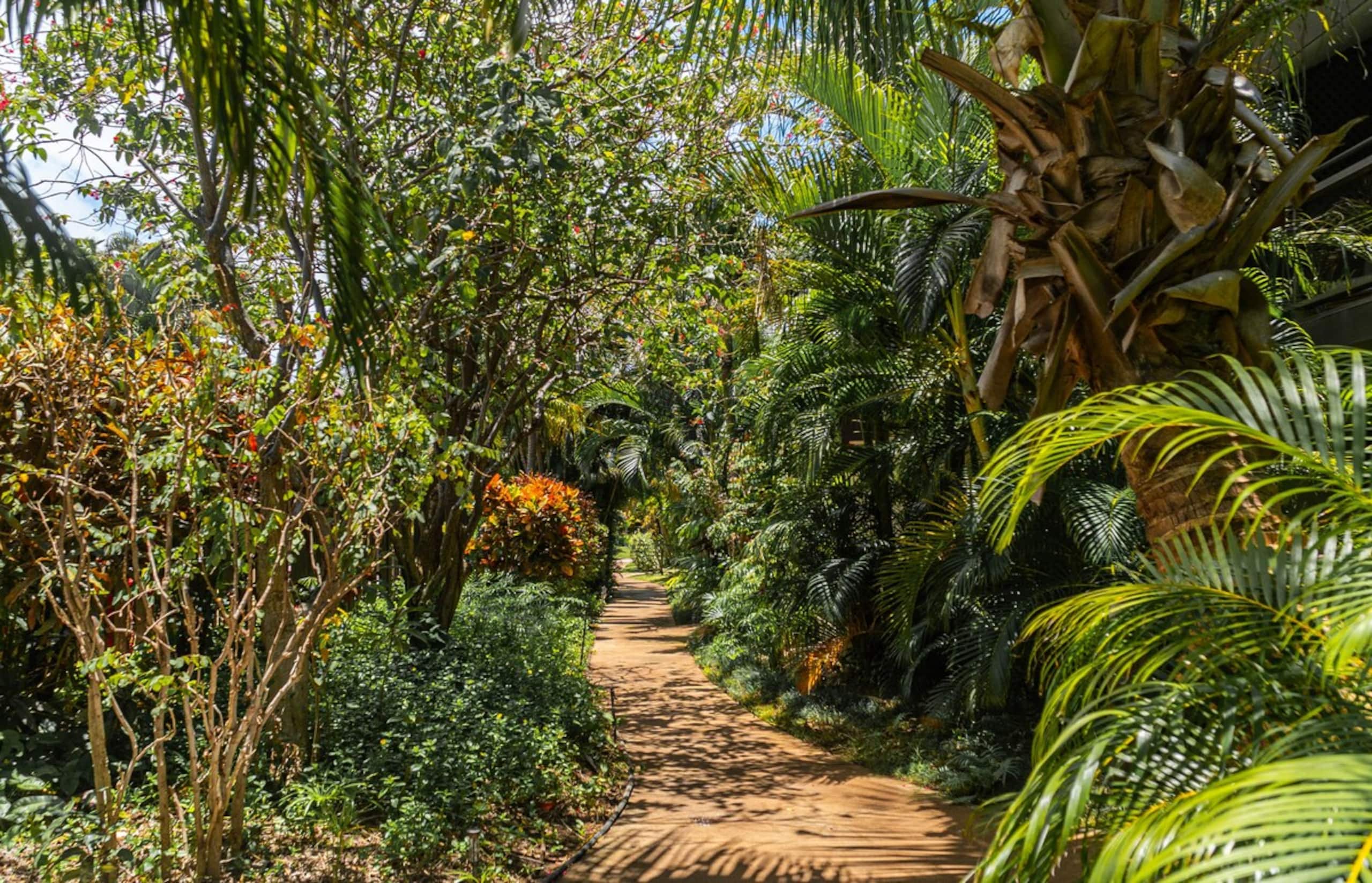 3-Min walk to Beach and Turtles. Pool and Garden - Photo 17
