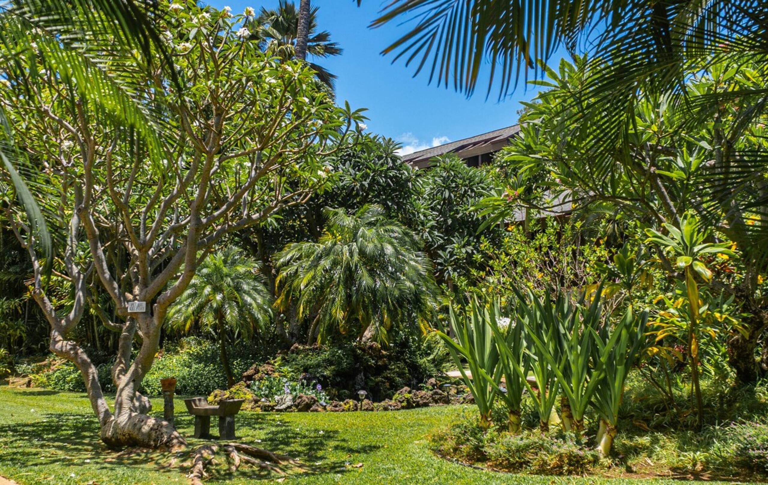 3-Min walk to Beach and Turtles. Pool and Garden - Photo 18