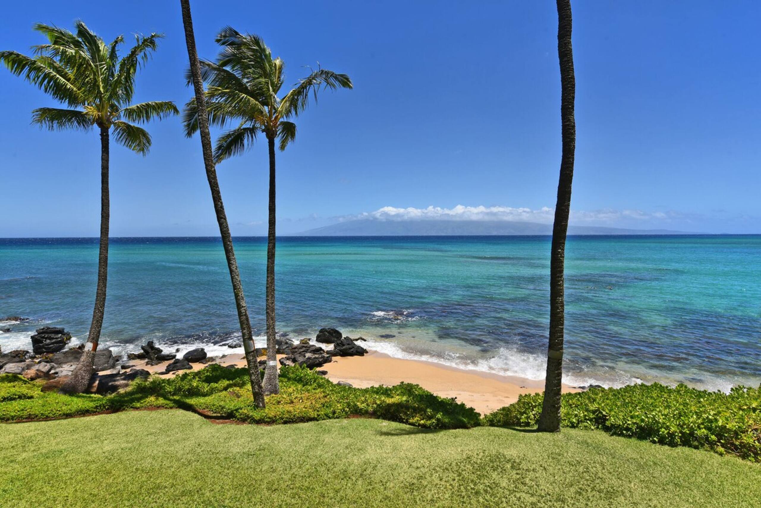 Bright, Spacious Studio with Stunning Ocean Views - Photo 25