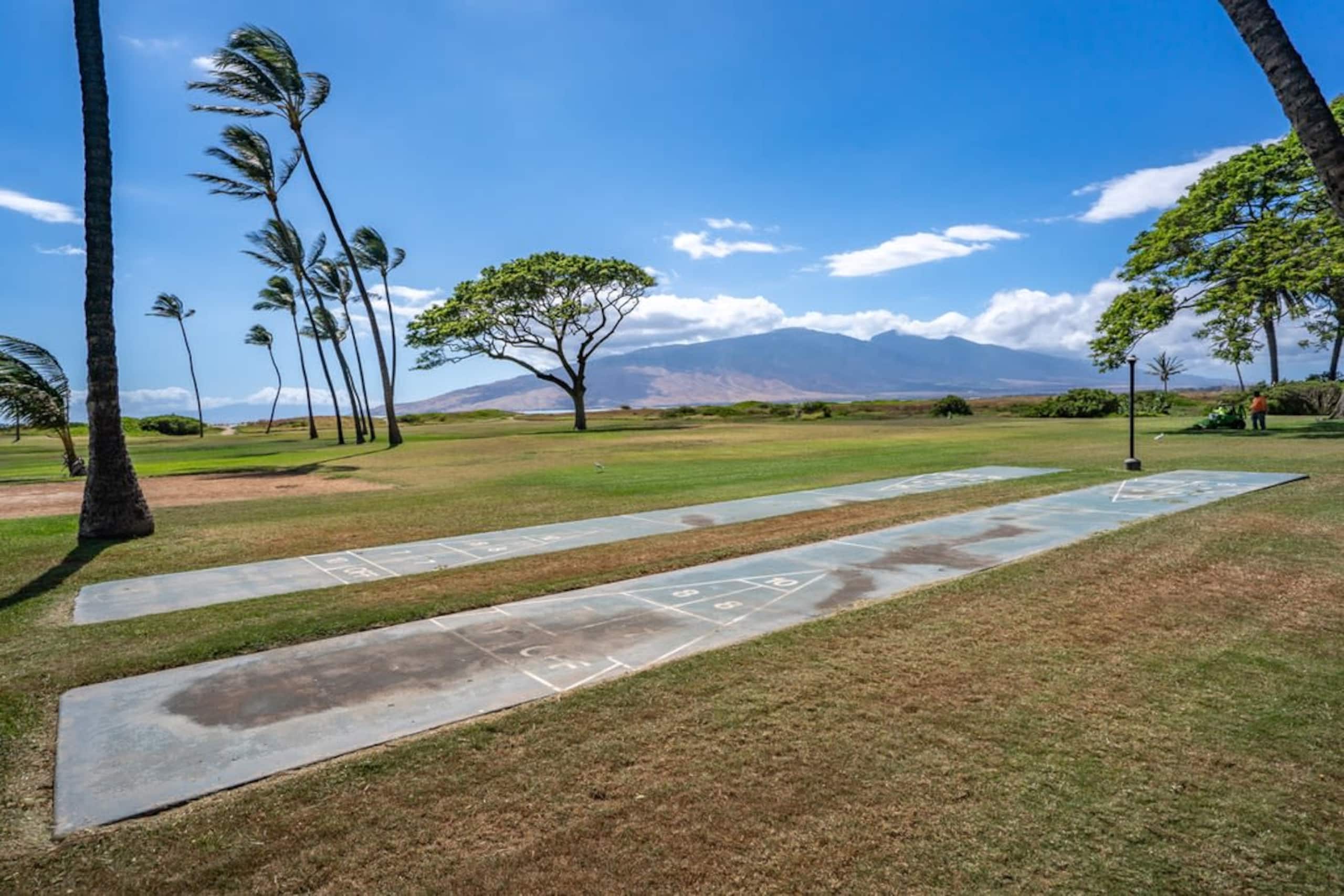Modern and Relaxing Oceanfront Vistas - Photo 28