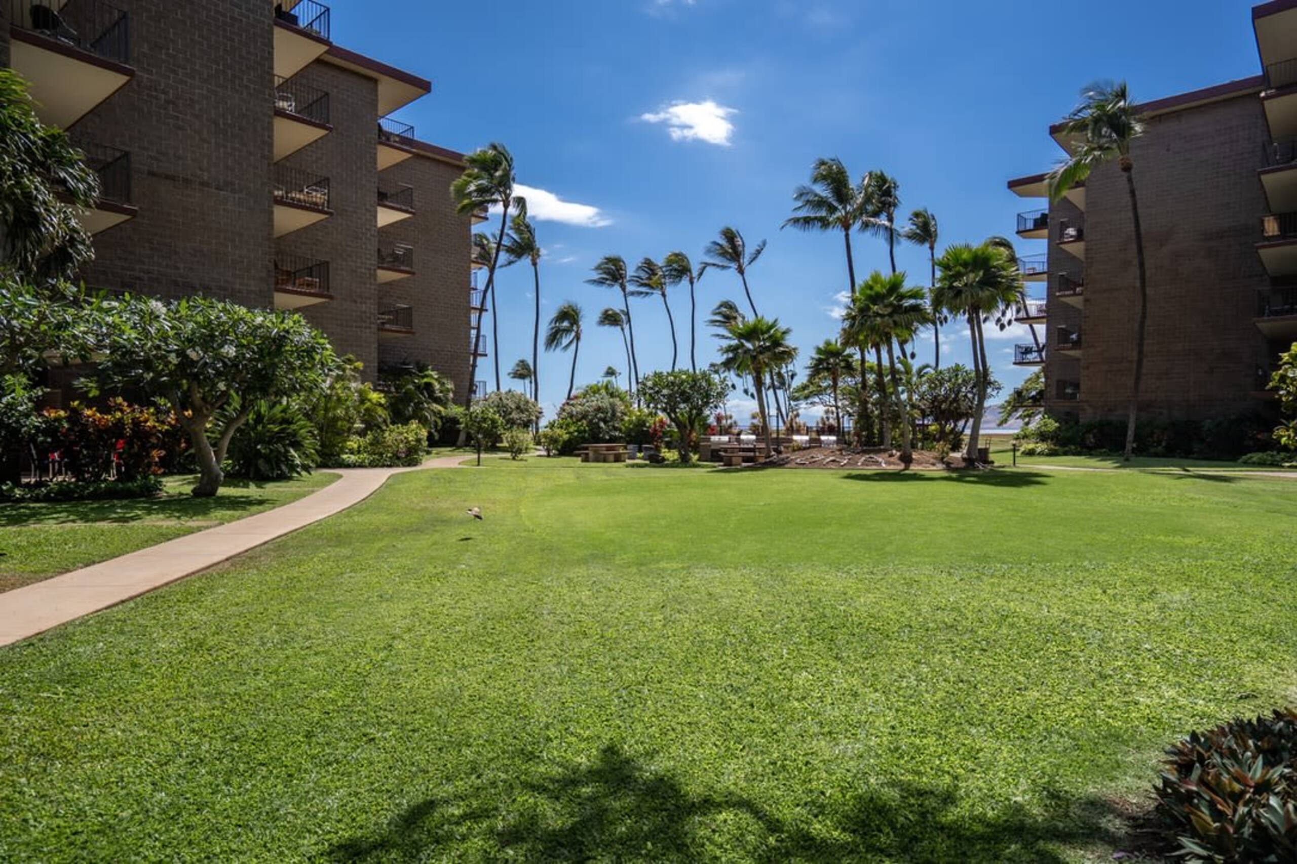 Modern and Relaxing Oceanfront Vistas - Photo 23