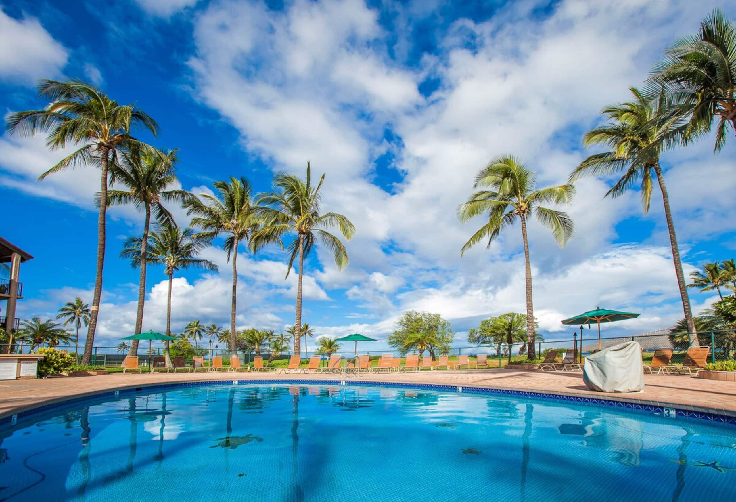 Beachfront Kihei condo w/ ocean views and pool - Photo 29
