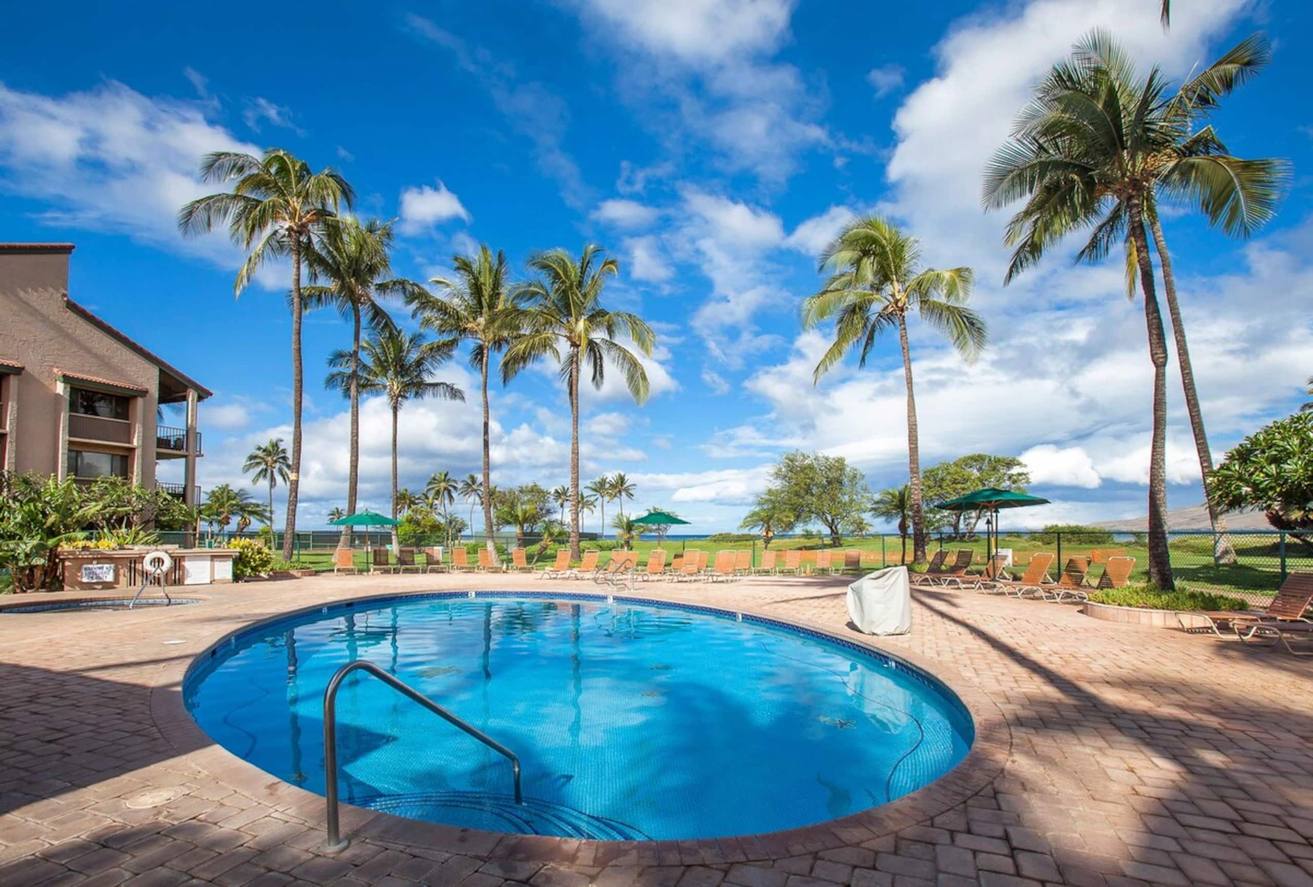 Beachfront Kihei condo w/ ocean views and pool - Photo 31
